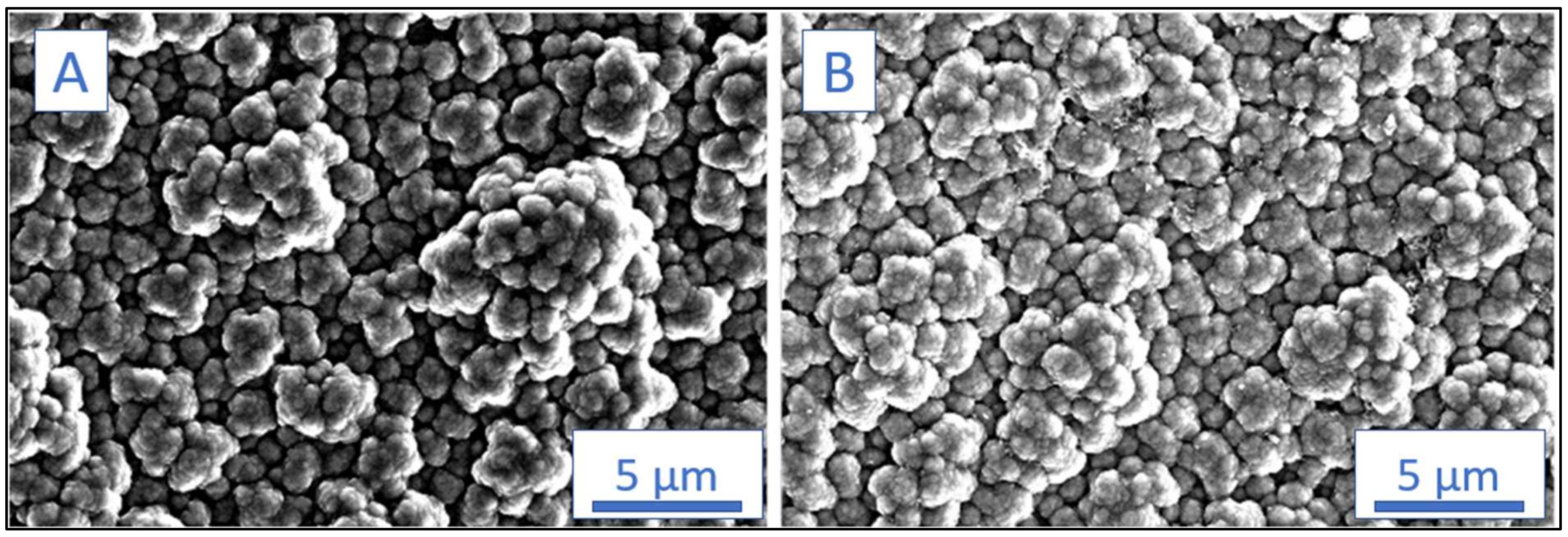 Sensors 23 05550 g005 Sensors 23 05550 g005