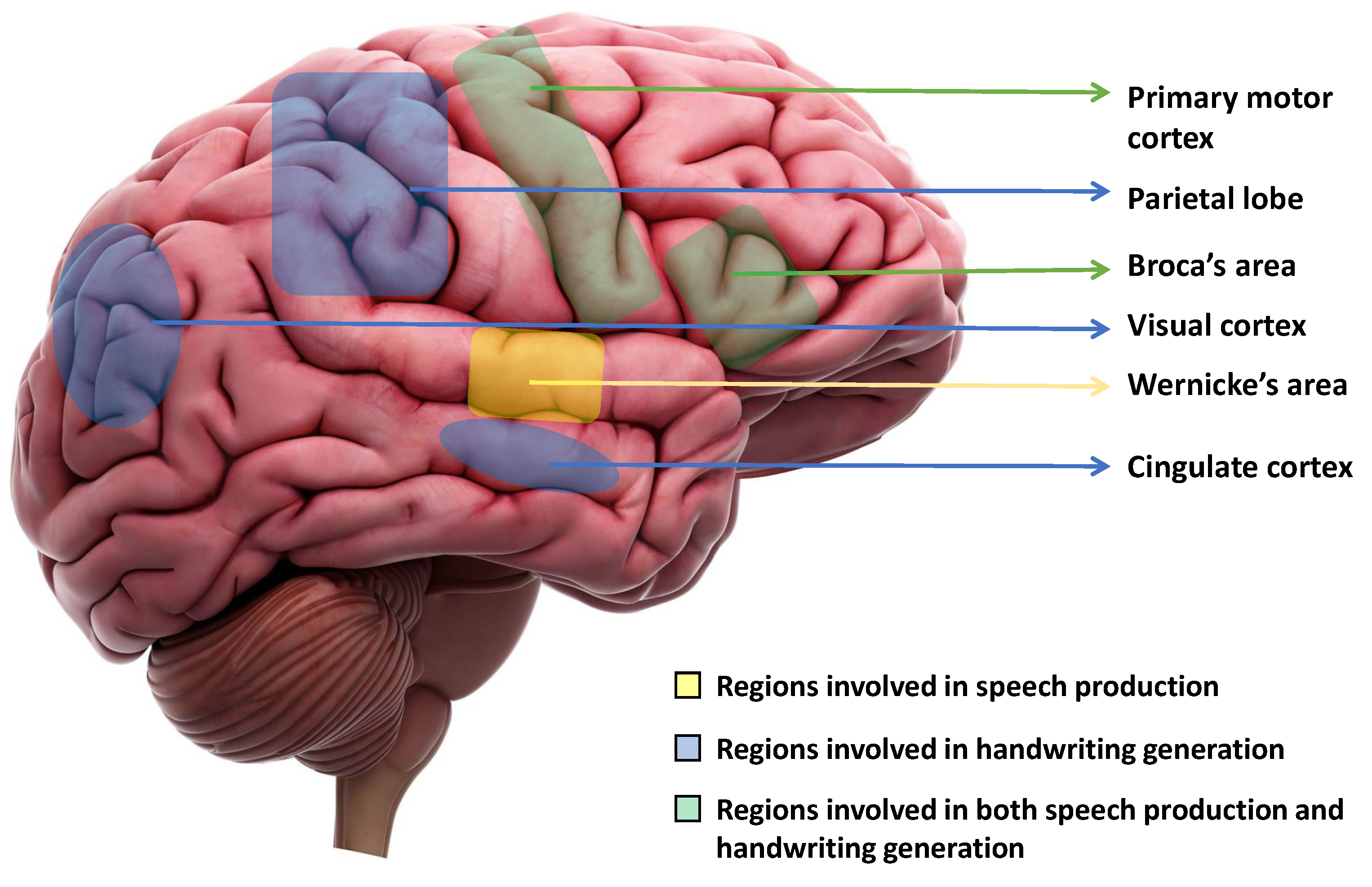 Sensors 23 05575 g001