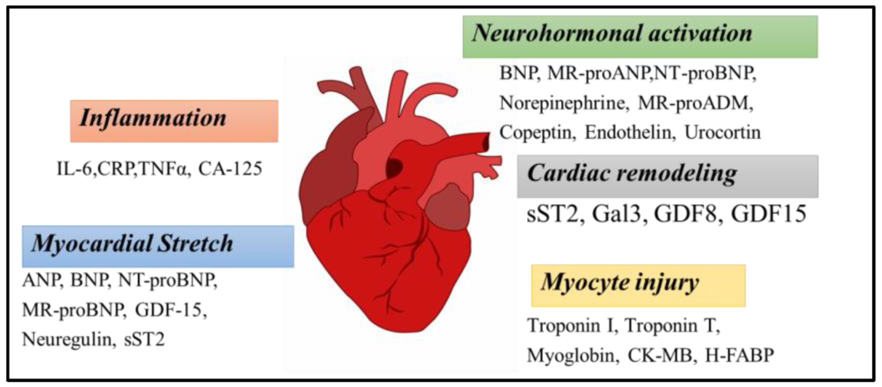 Sensors 23 05625 g007