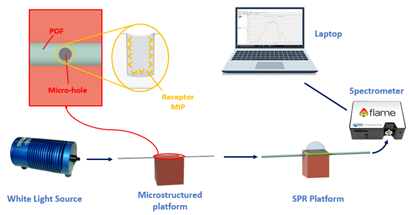 Sensors 23 05662 i001 Sensors 23 05662 i001