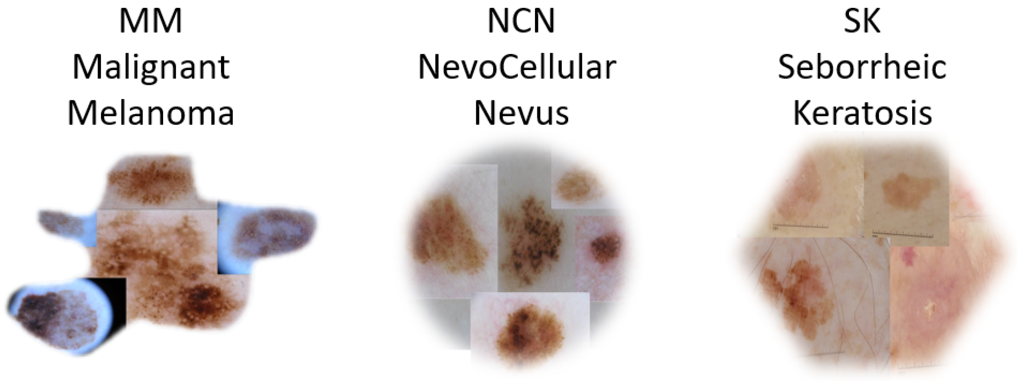 Sensors 23 05677 g001