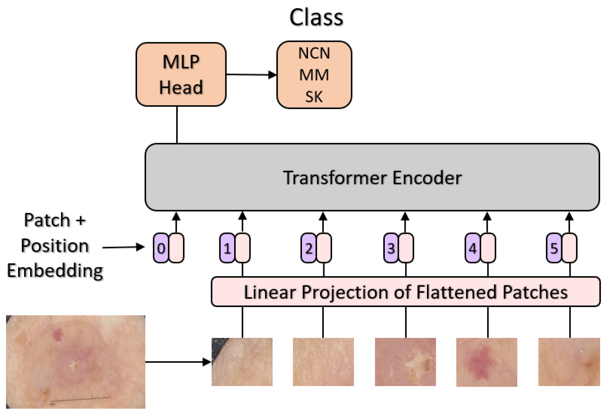 Sensors 23 05677 g003