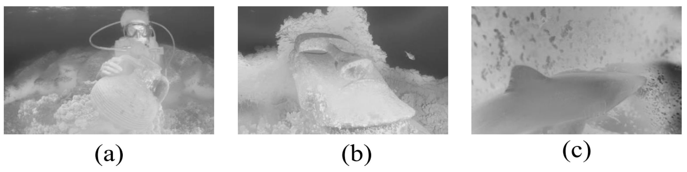 Sensors 23 05708 g003