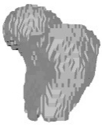 Sensors 23 05720 i027