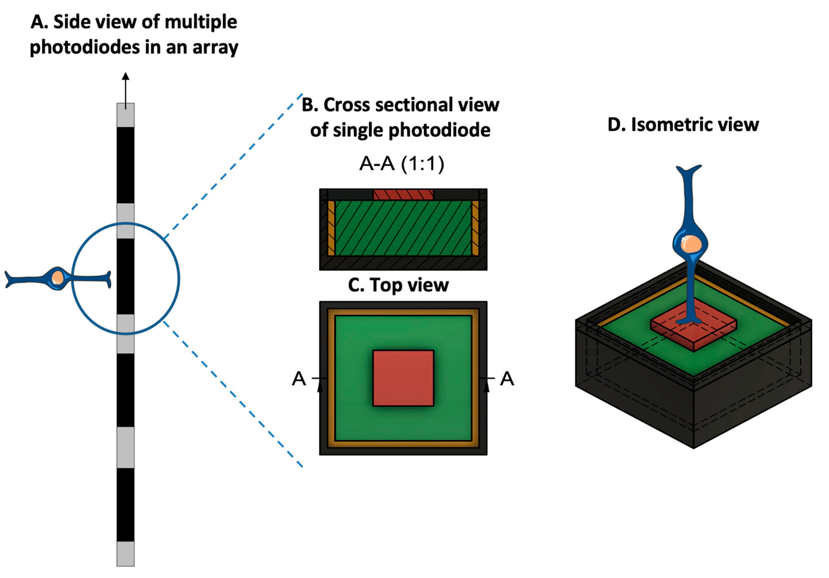 Sensors 23 05782 g004
