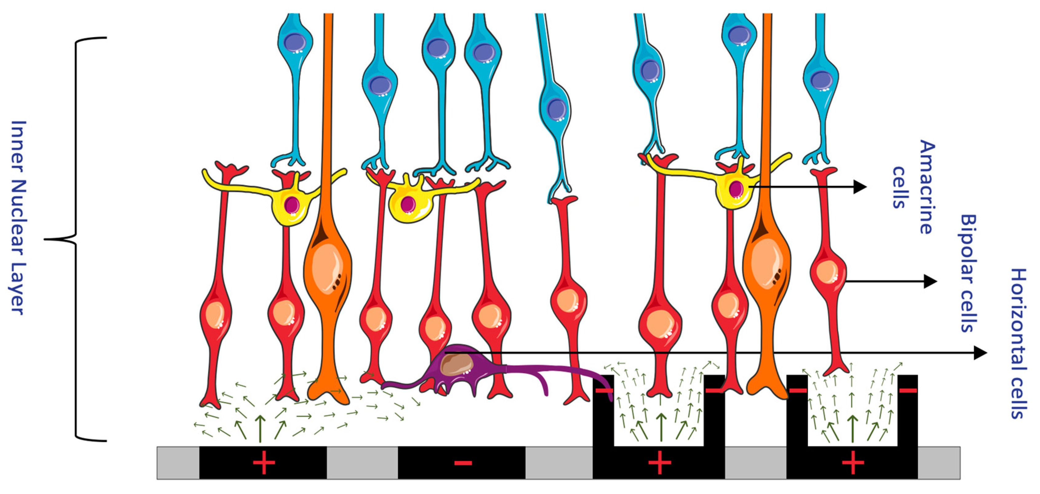 Sensors 23 05782 g008