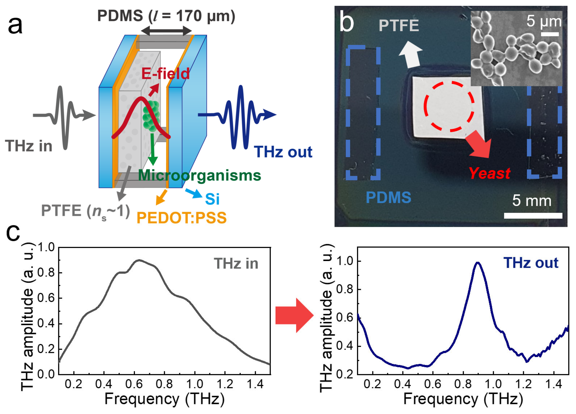 Sensors 23 05797 g001
