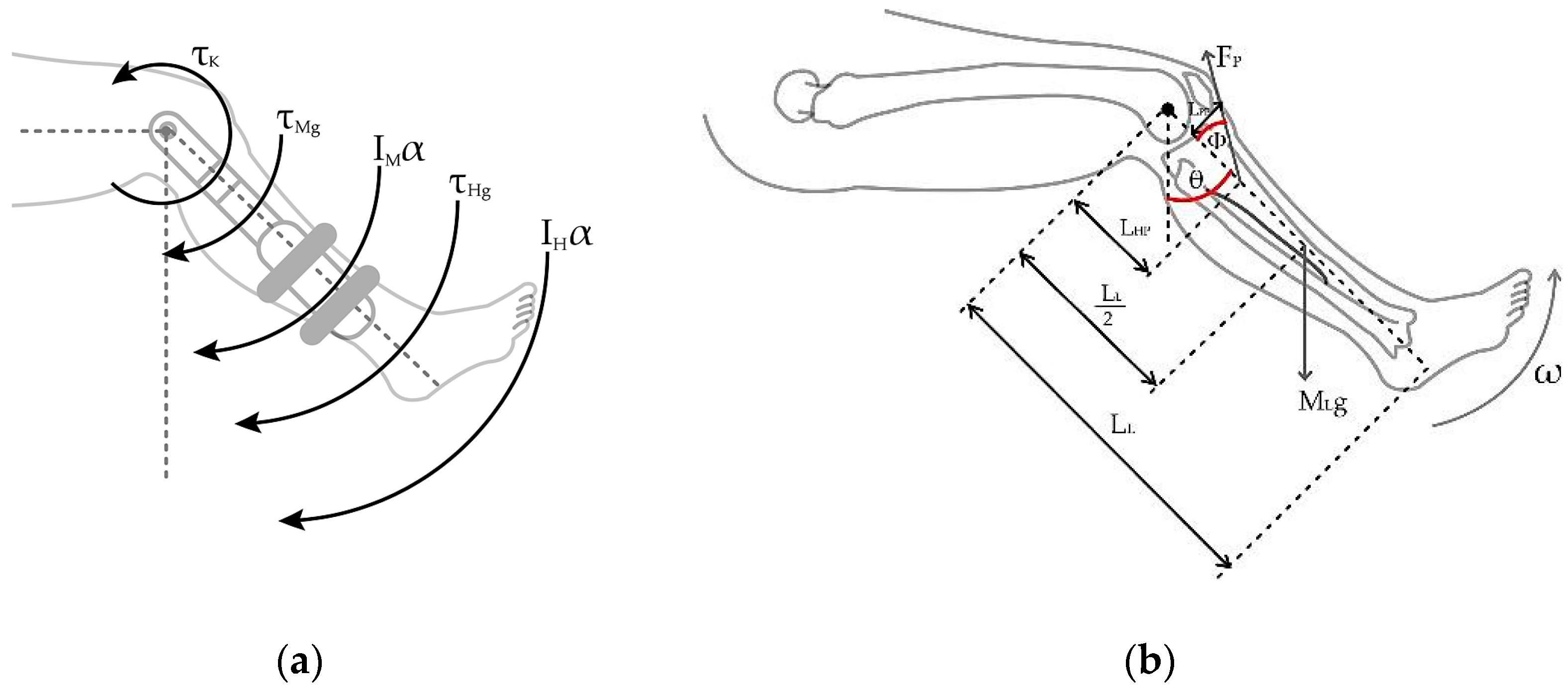 Sensors 23 05827 g005