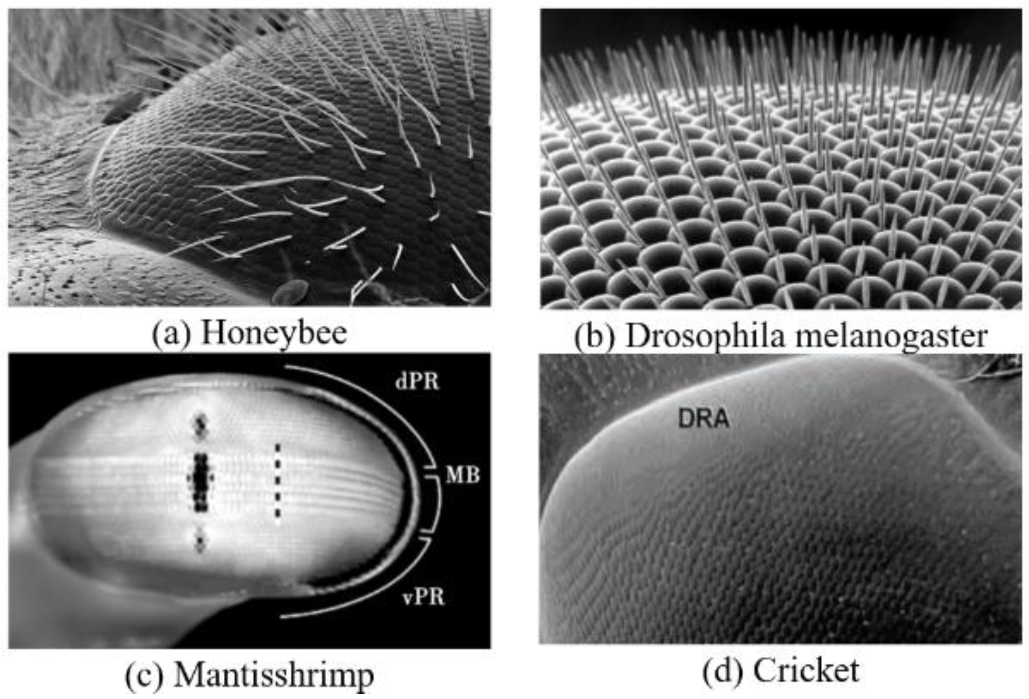 Sensors 23 05848 g002