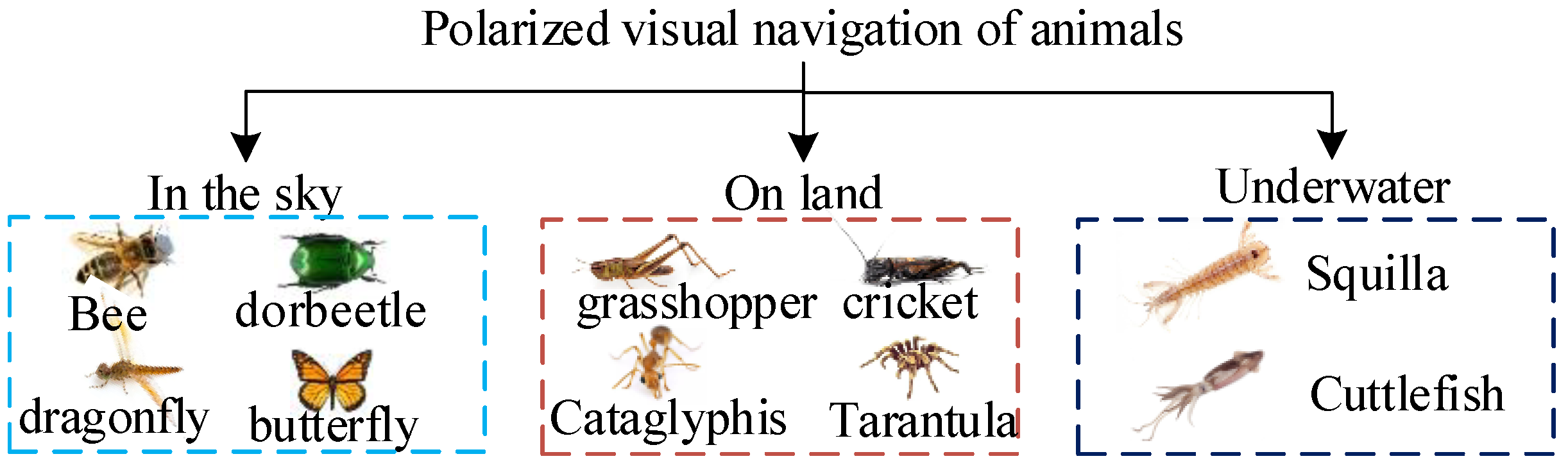 Sensors 23 05848 g004