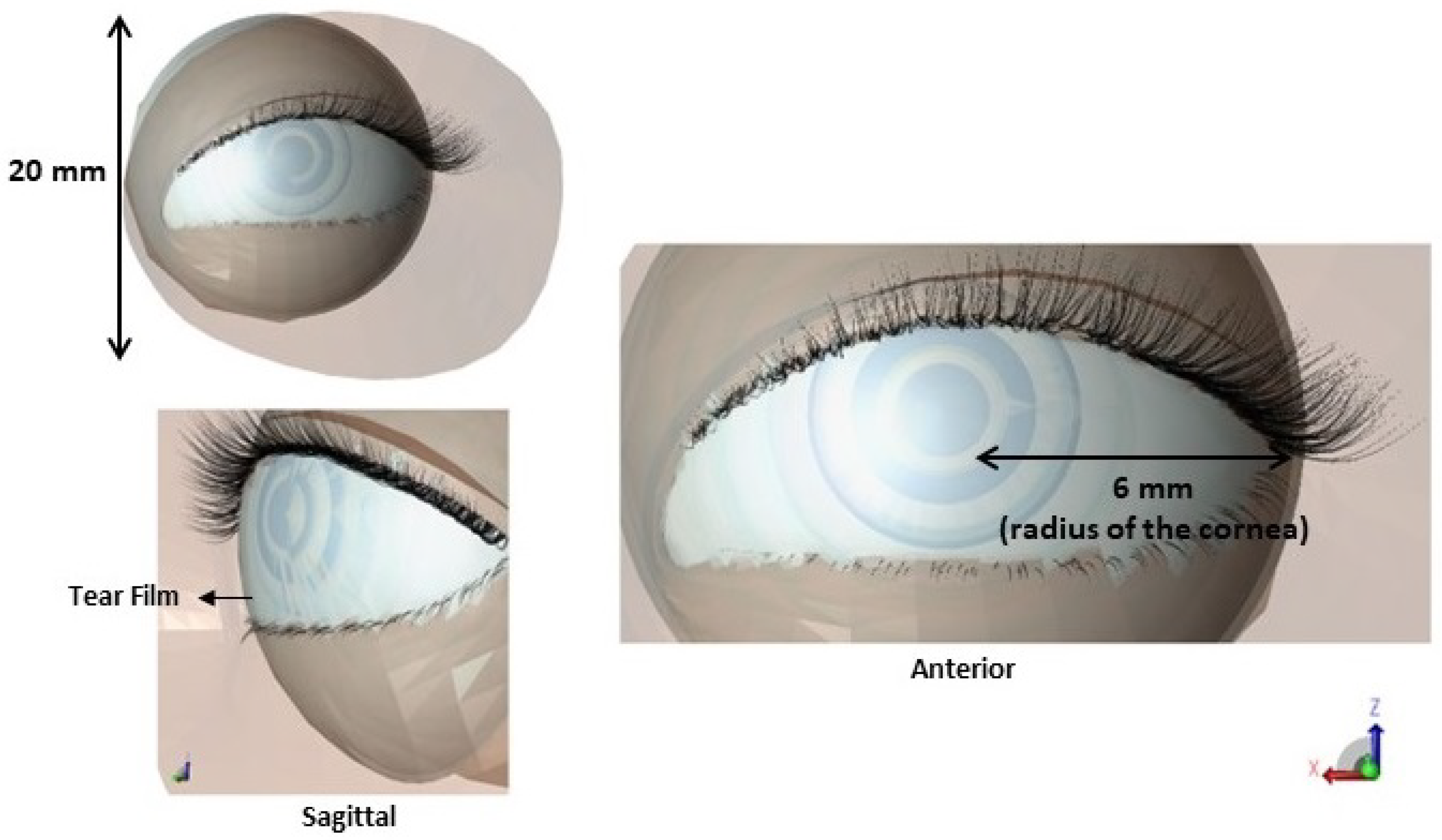 Sensors 23 05853 g001
