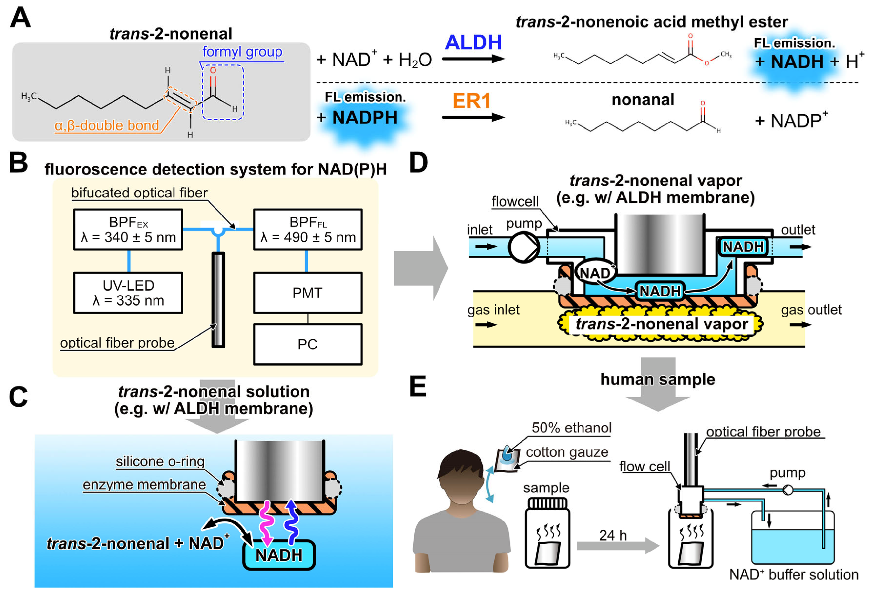 Sensors 23 05857 g001