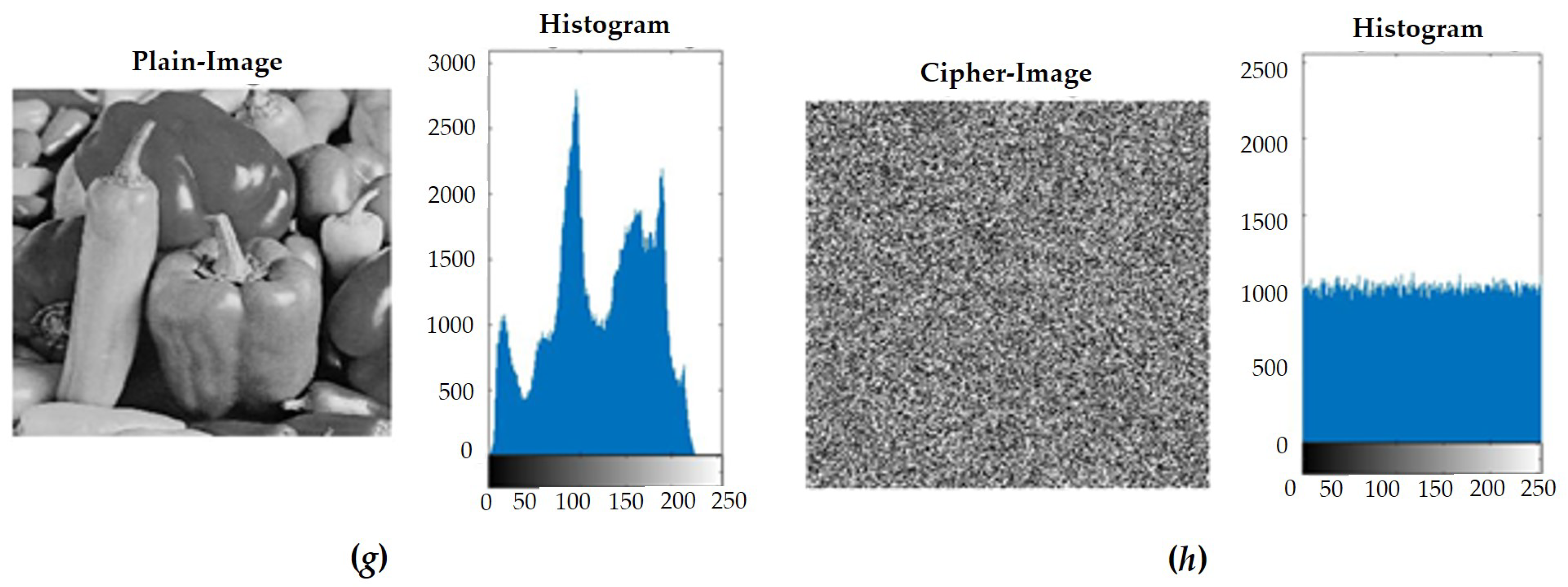 Sensors 23 05906 g010b