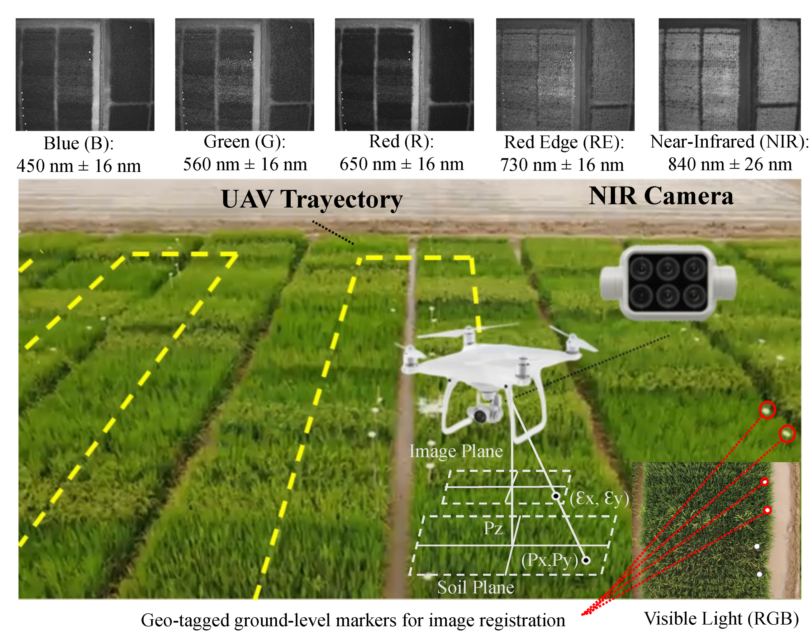 Sensors 23 05917 g002