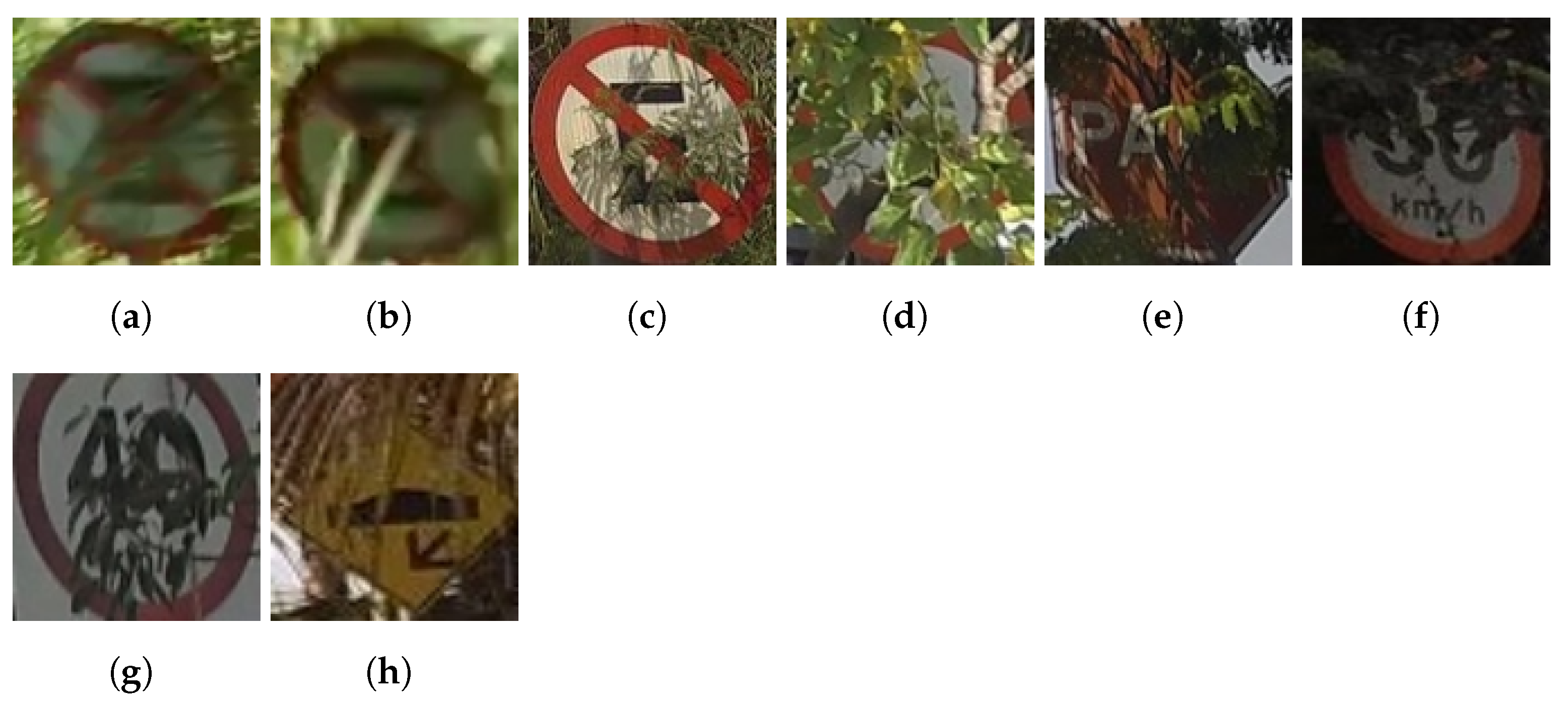 Sensors 23 05919 g002