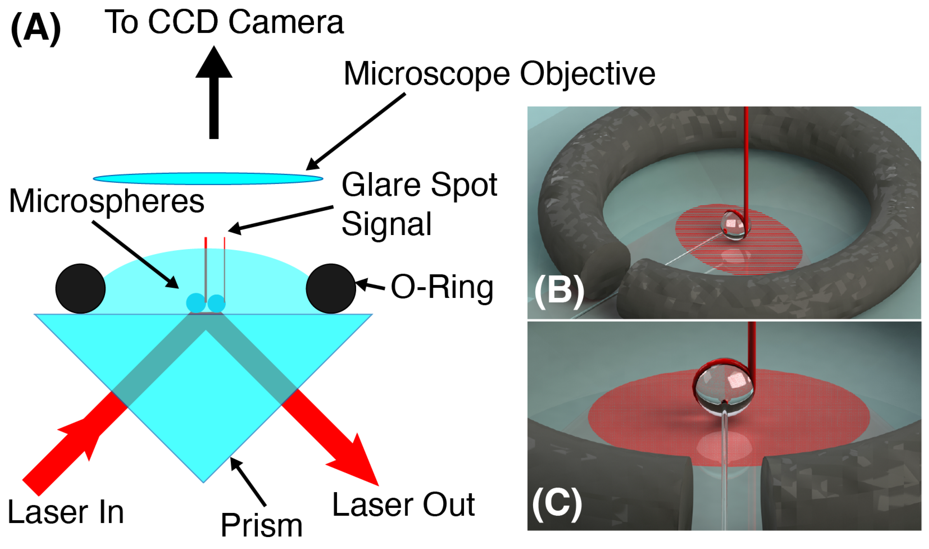 Sensors 23 05925 g002