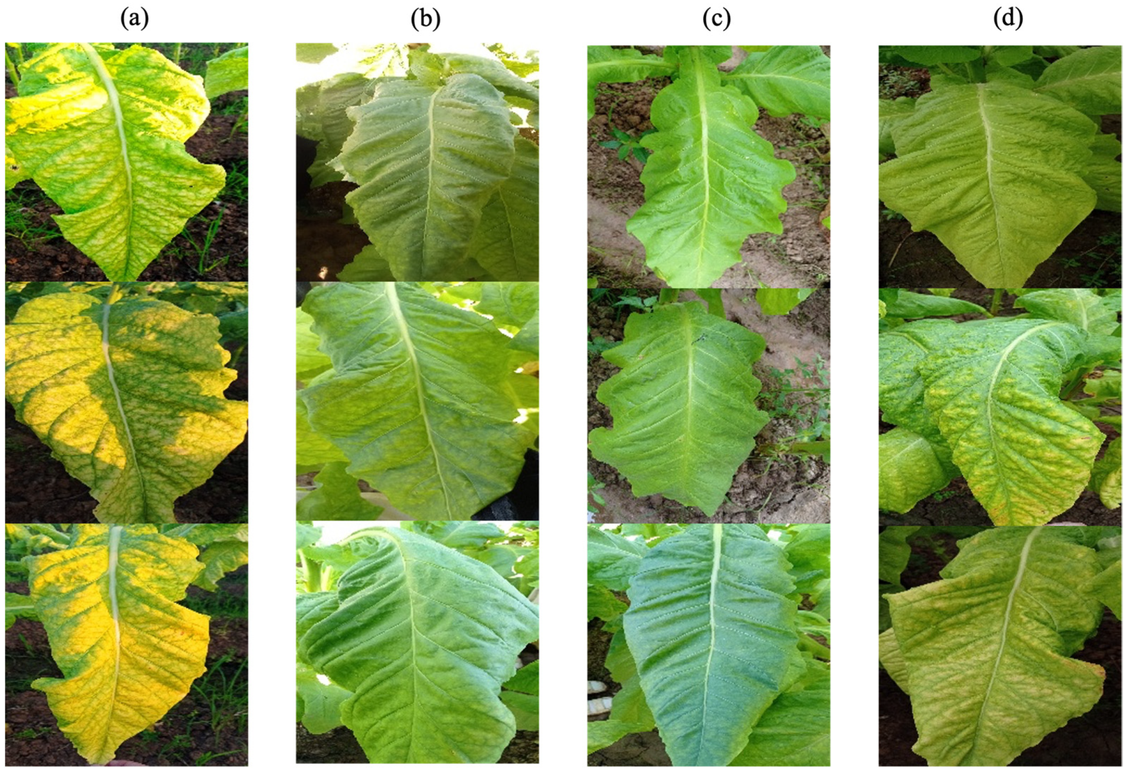 Sensors 23 05964 g001 Sensors 23 05964 g001