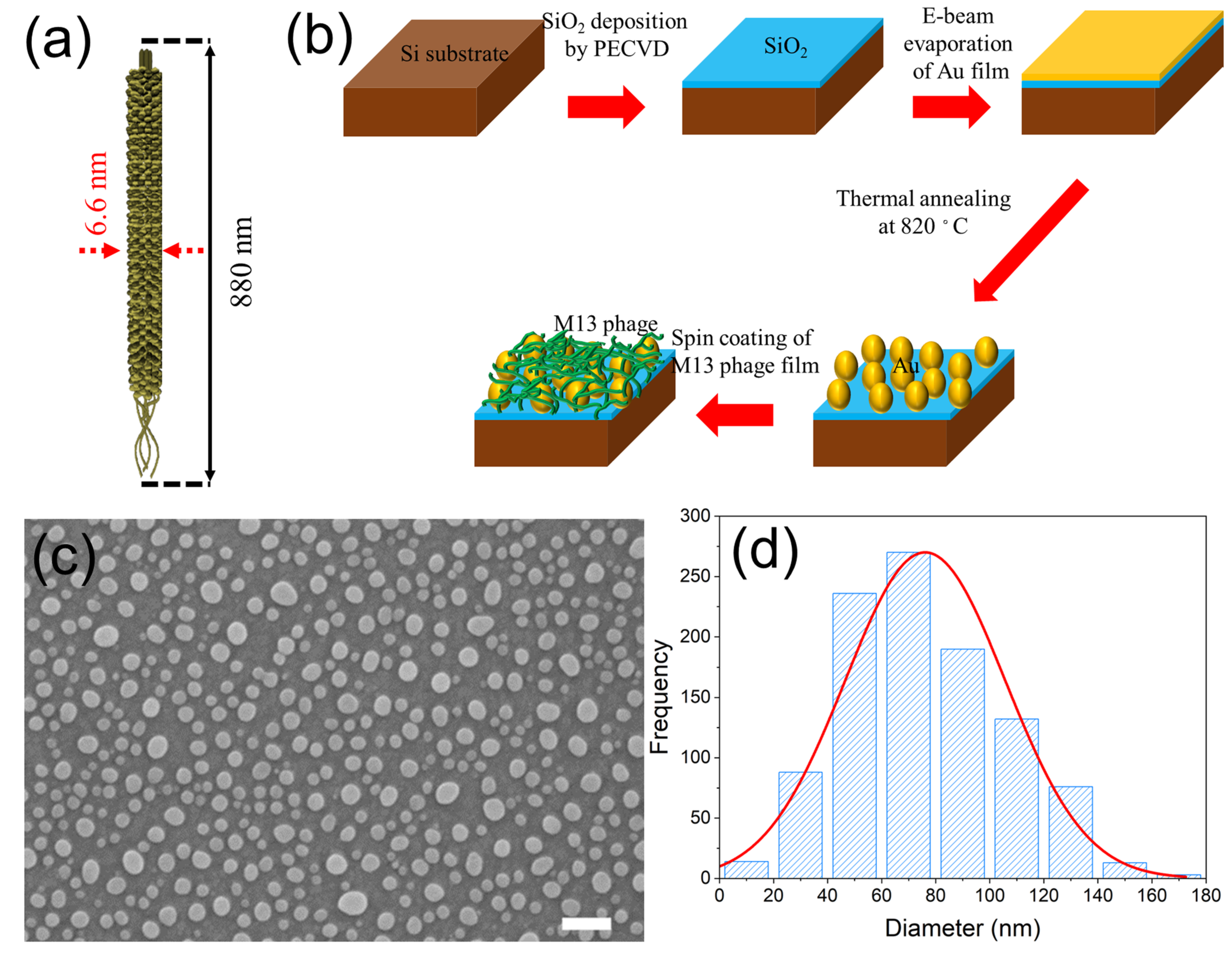 Sensors 23 06011 g001
