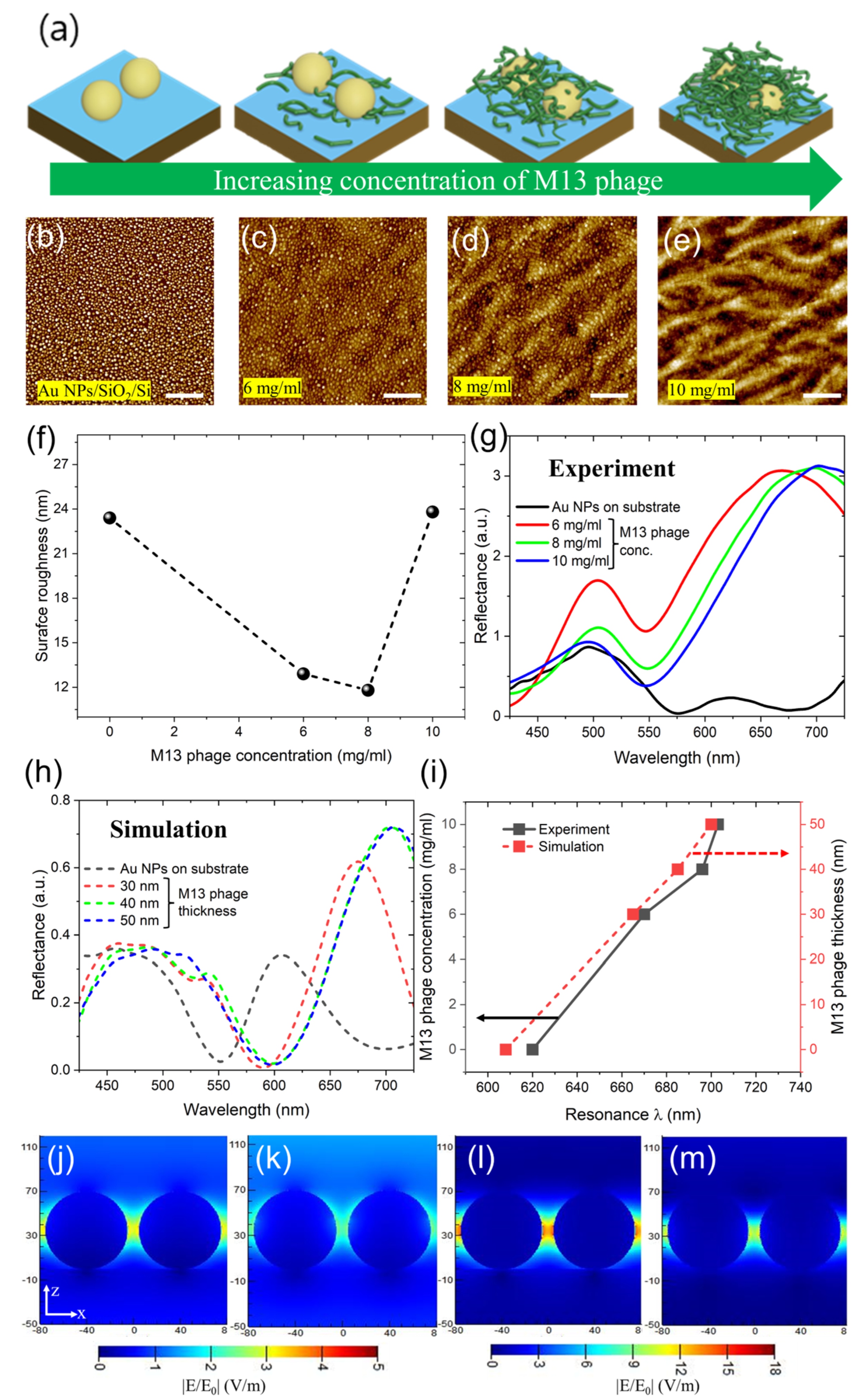 Sensors 23 06011 g002