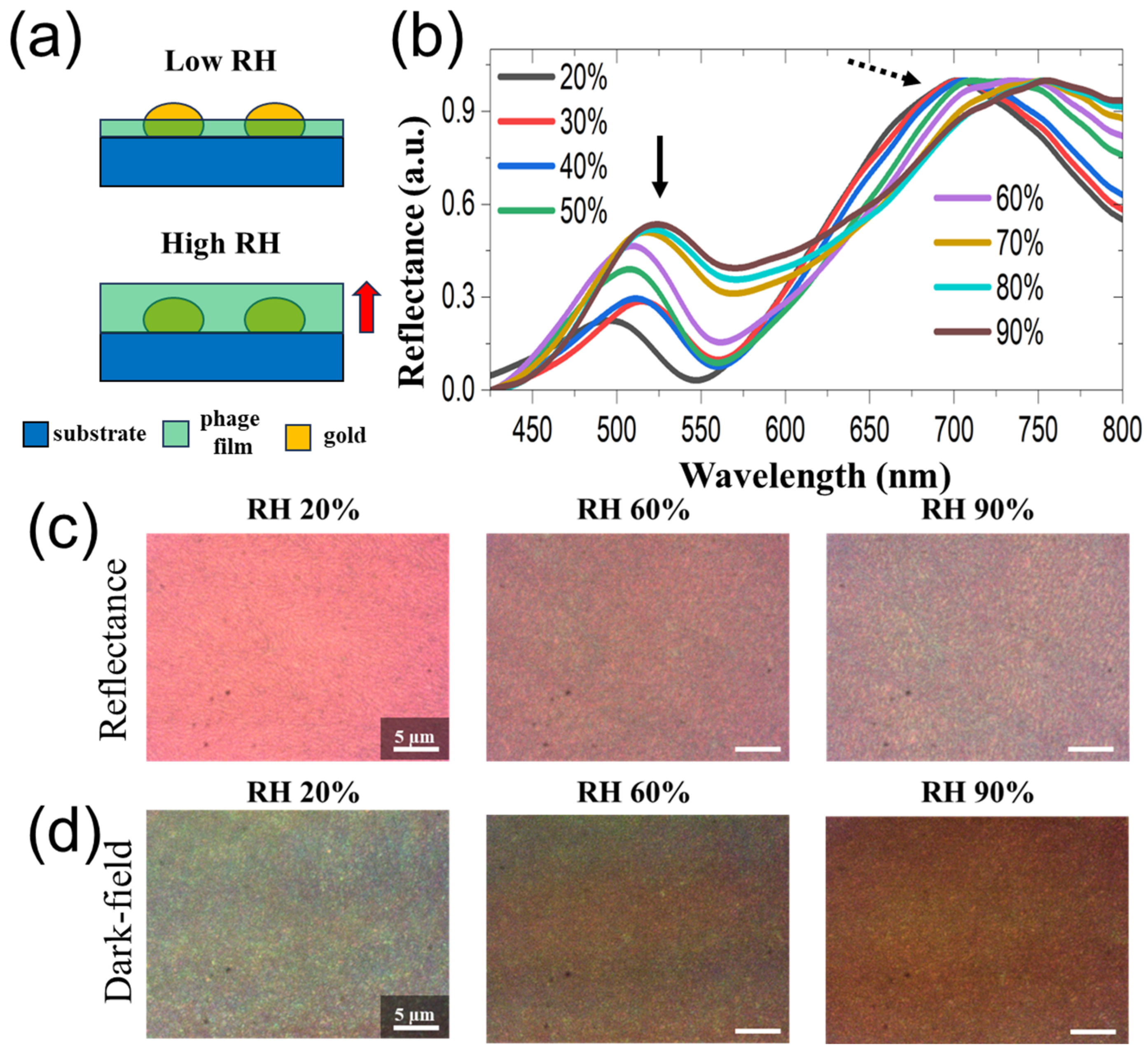 Sensors 23 06011 g003