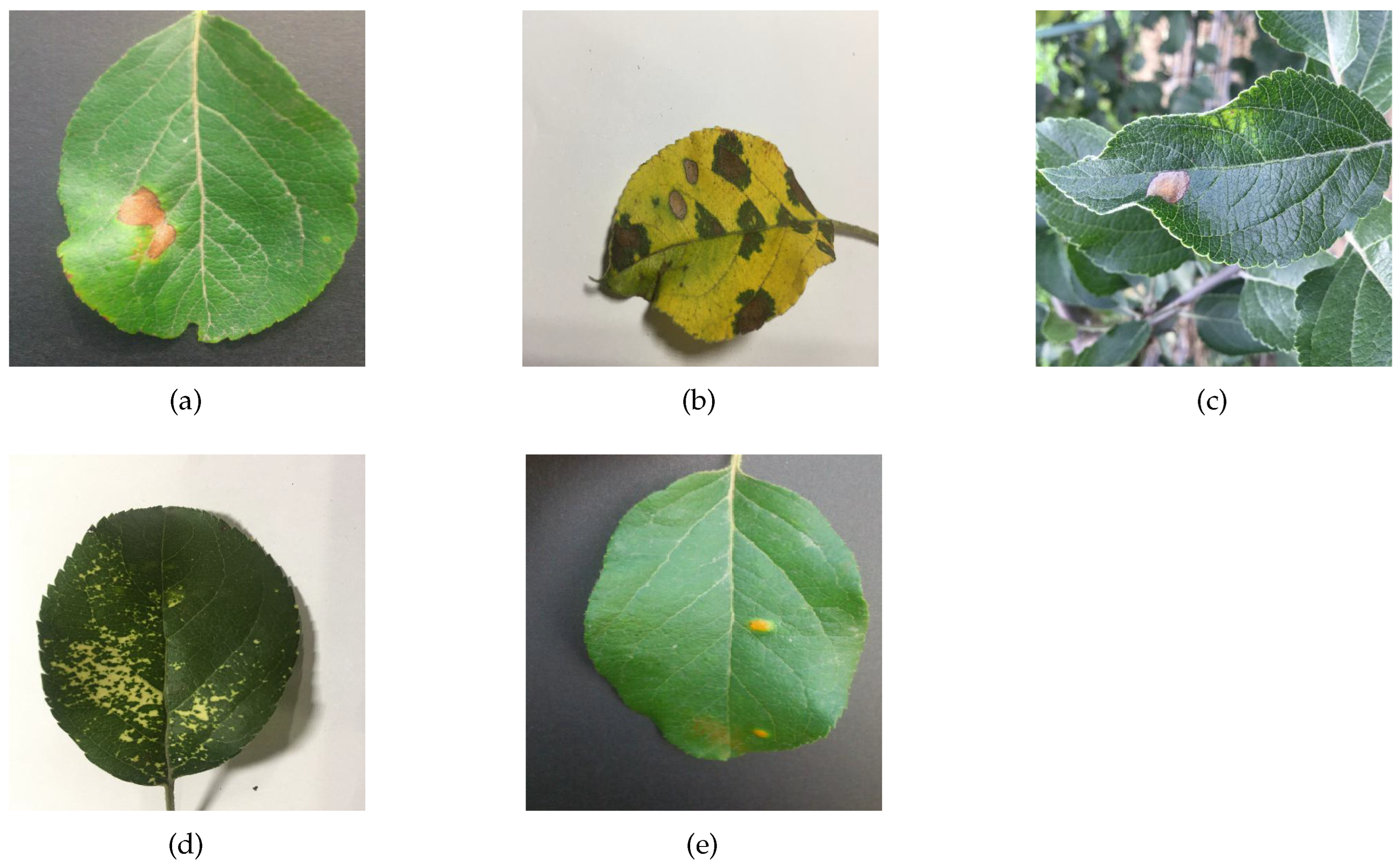 Sensors 23 06015 g008 Sensors 23 06015 g008