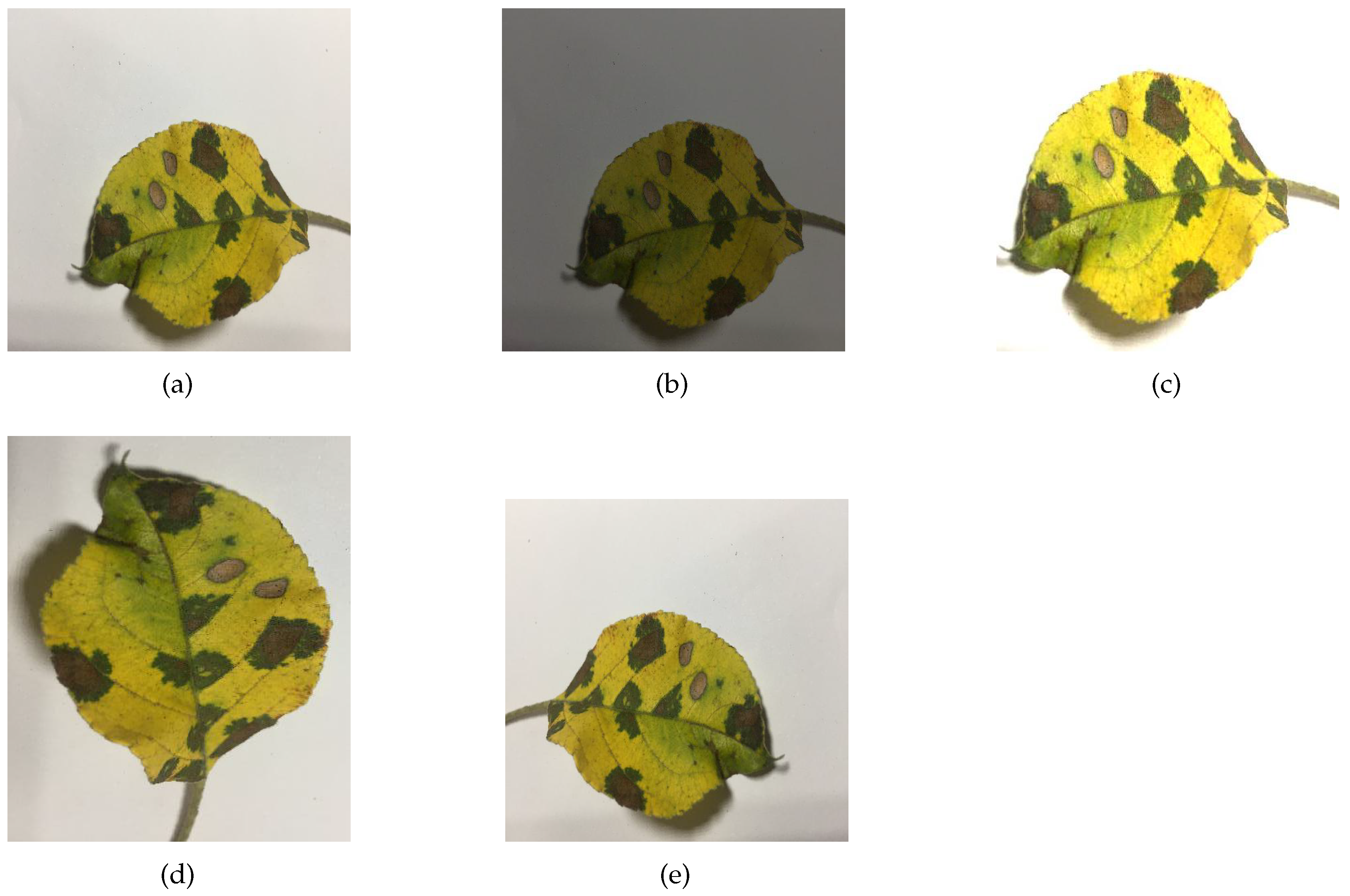 Sensors 23 06015 g009 Sensors 23 06015 g009