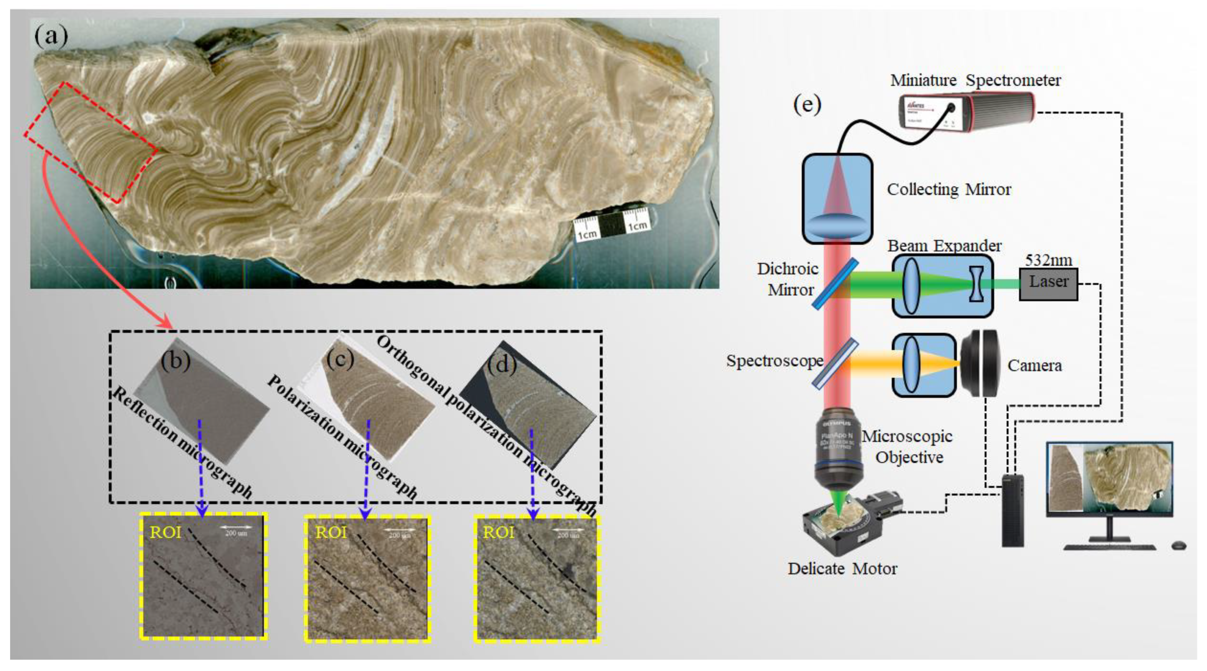 Sensors 23 06128 g001