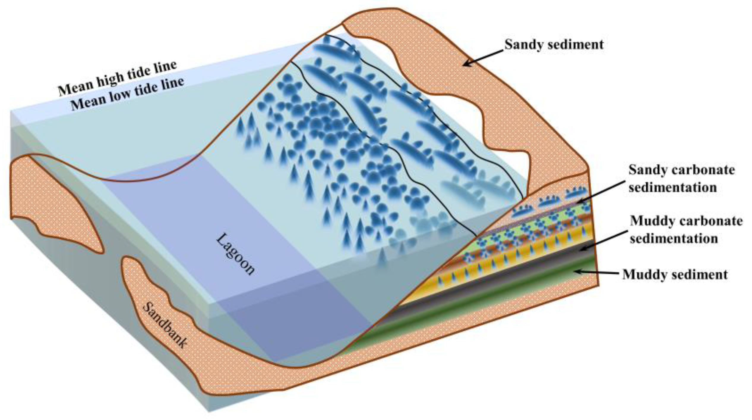 Sensors 23 06128 g009