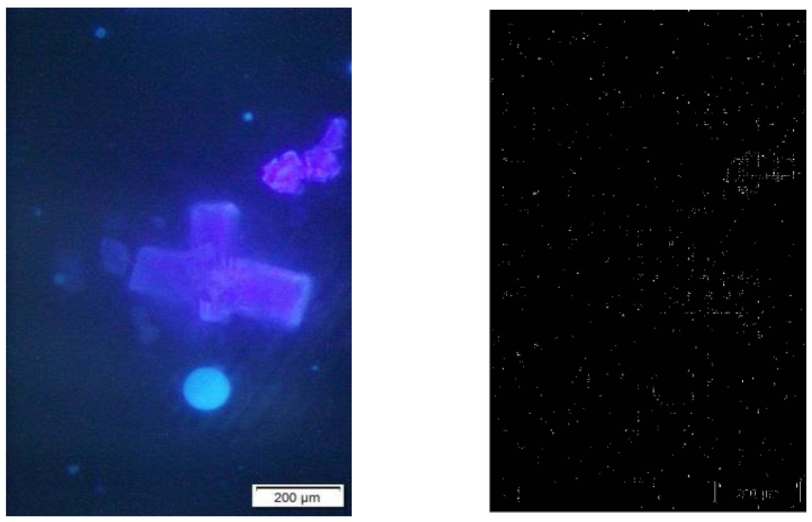 Sensors 23 06207 g004