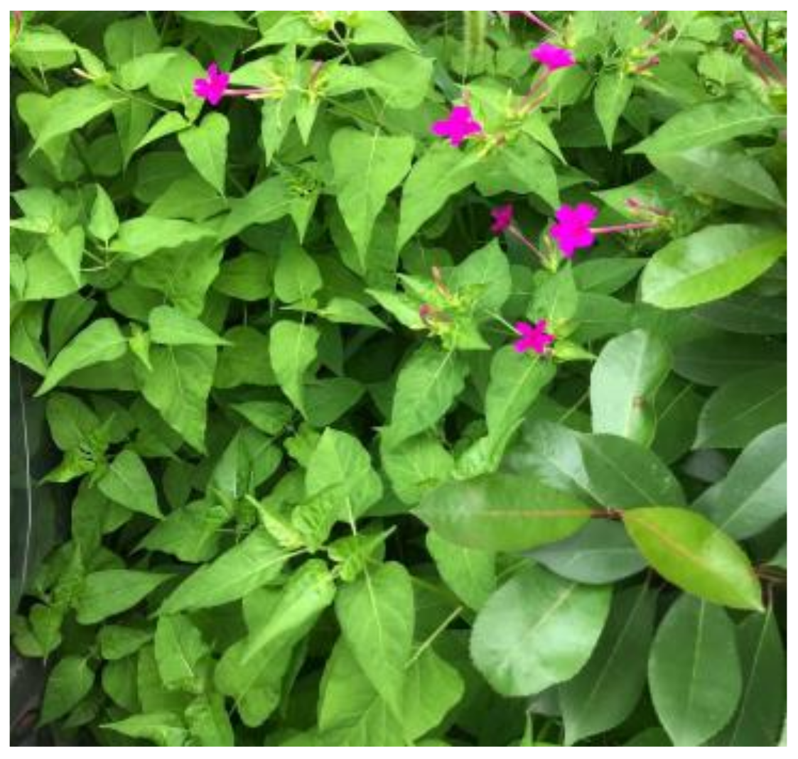 Sensors 23 06207 g011