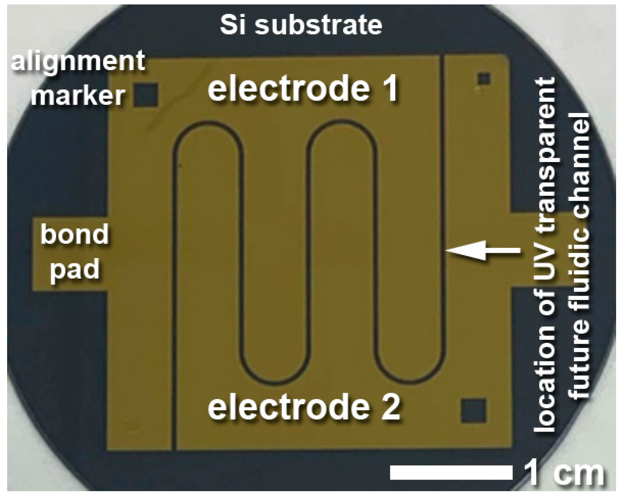 Sensors 23 06251 g004 Sensors 23 06251 g004