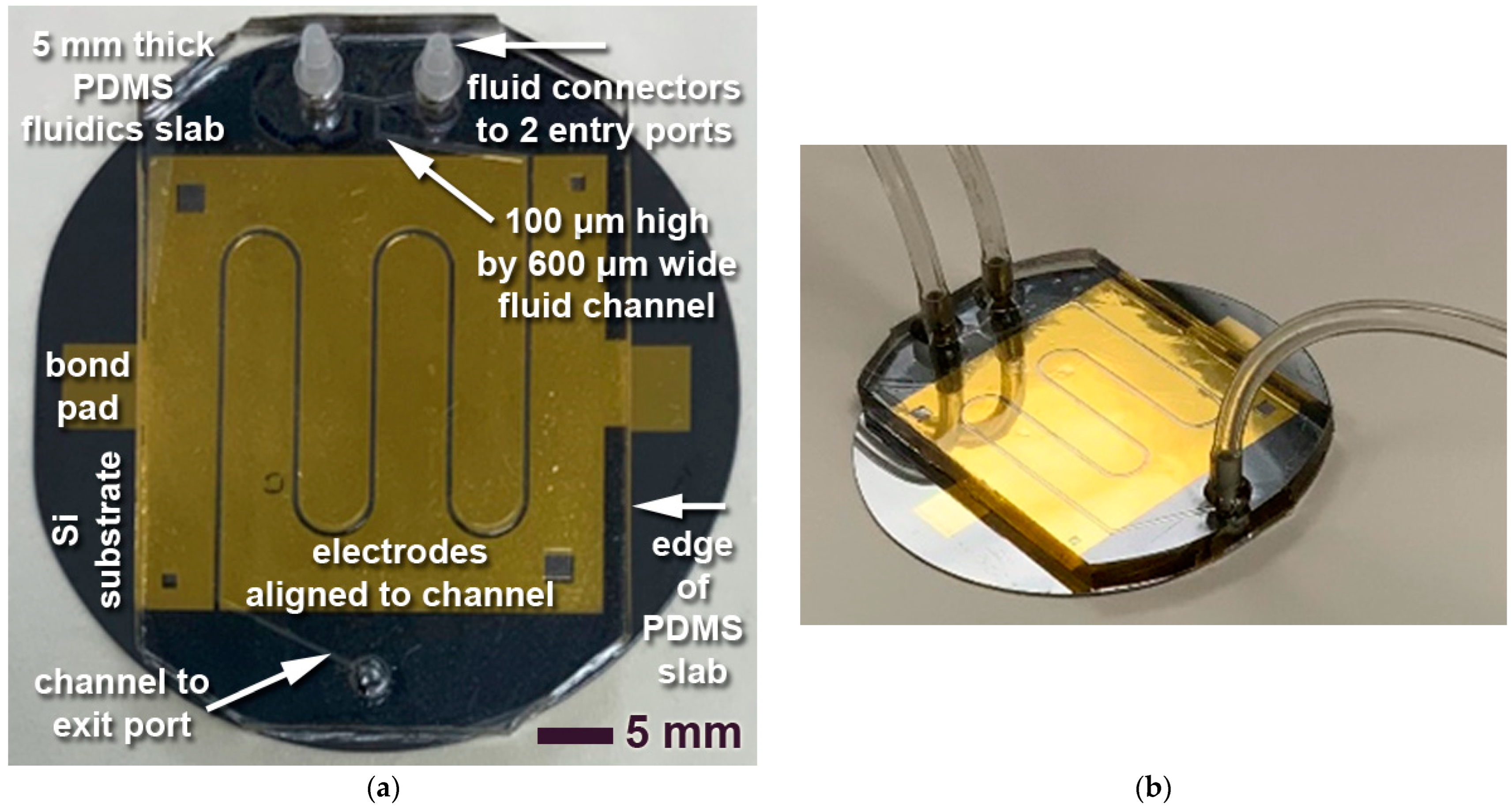 Sensors 23 06251 g005 Sensors 23 06251 g005