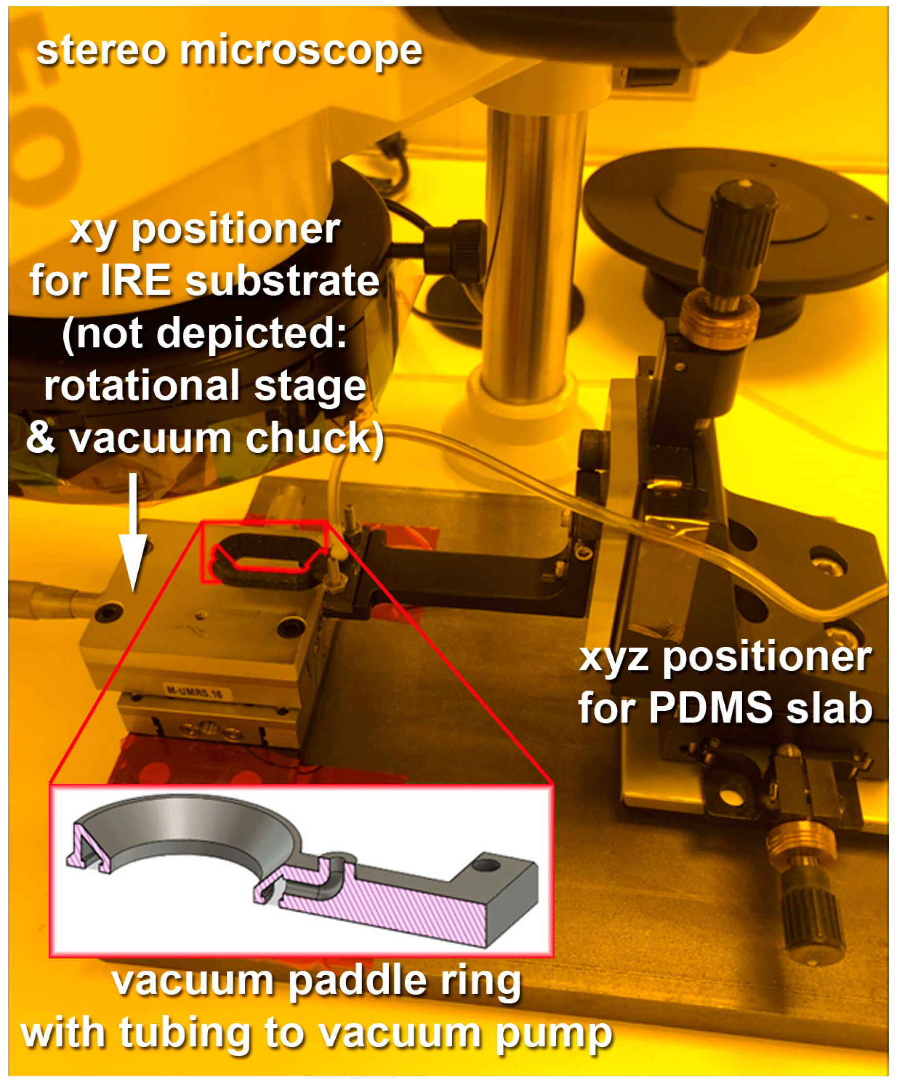 Sensors 23 06251 g006 Sensors 23 06251 g006
