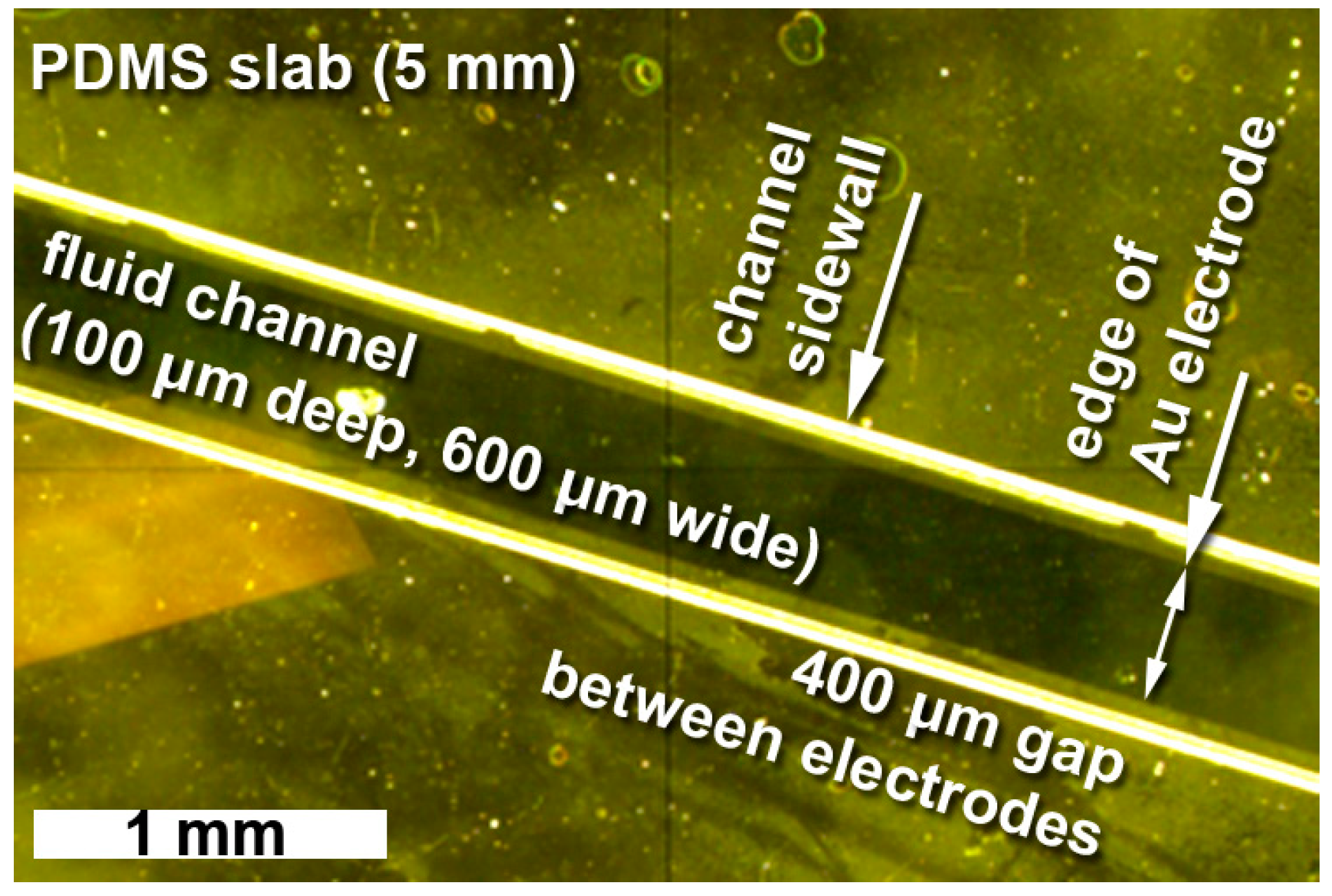 Sensors 23 06251 g007 Sensors 23 06251 g007