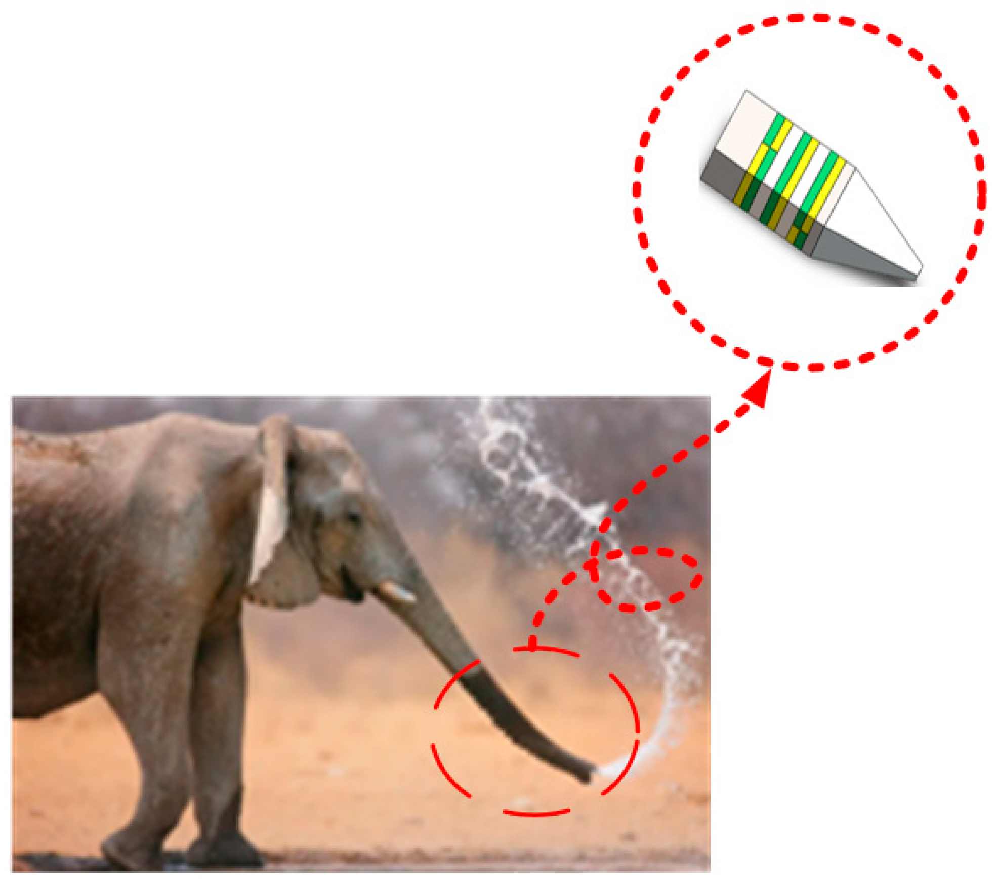 Sensors 23 06264 g002