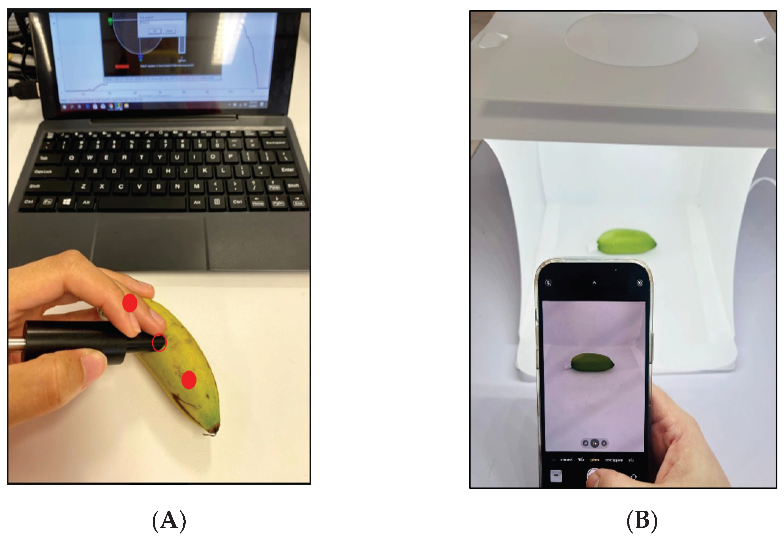Sensors 23 06387 g002