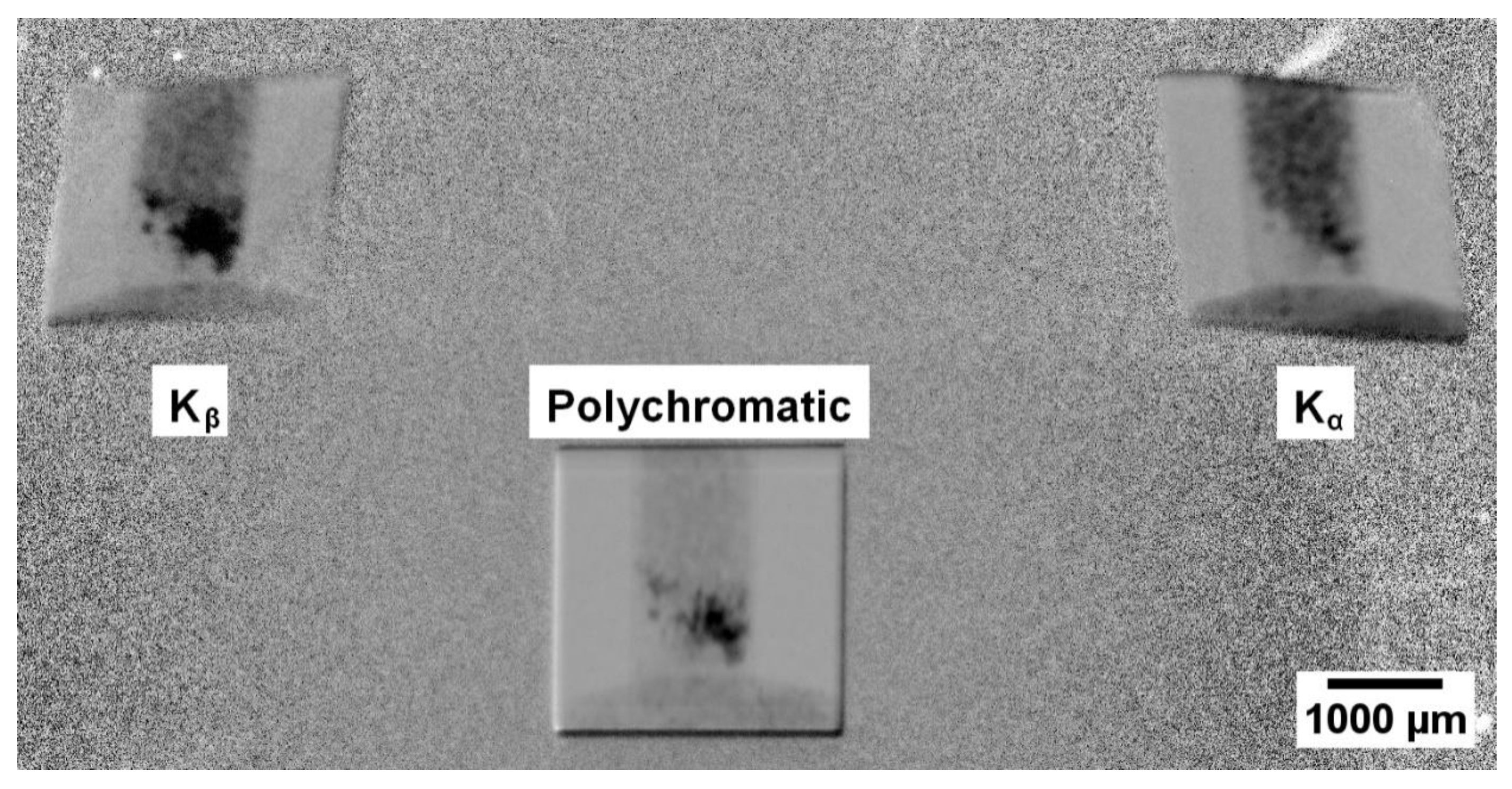 Sensors 23 06389 g003