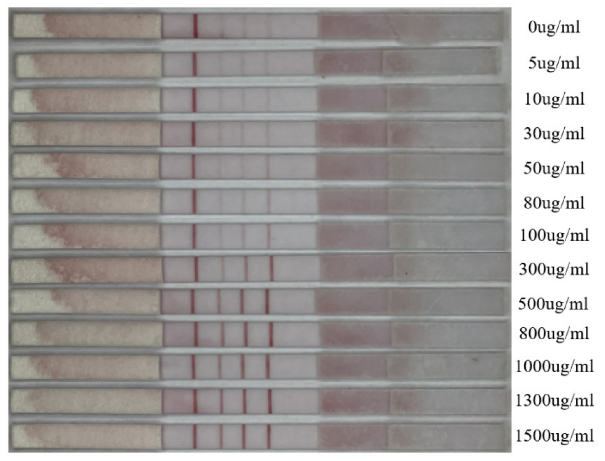 Sensors 23 06401 g002