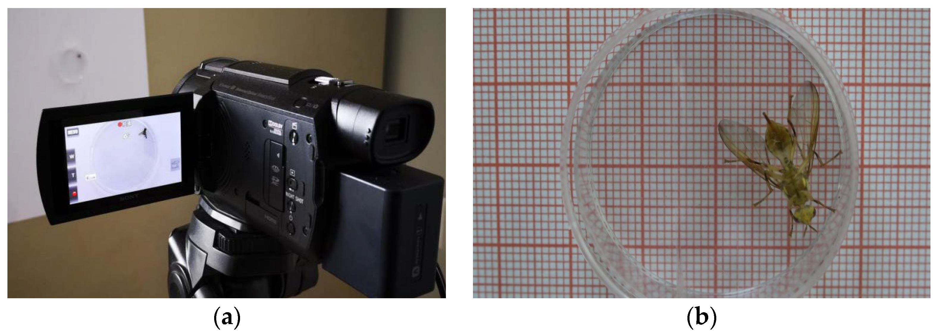 Sensors 23 06442 g001