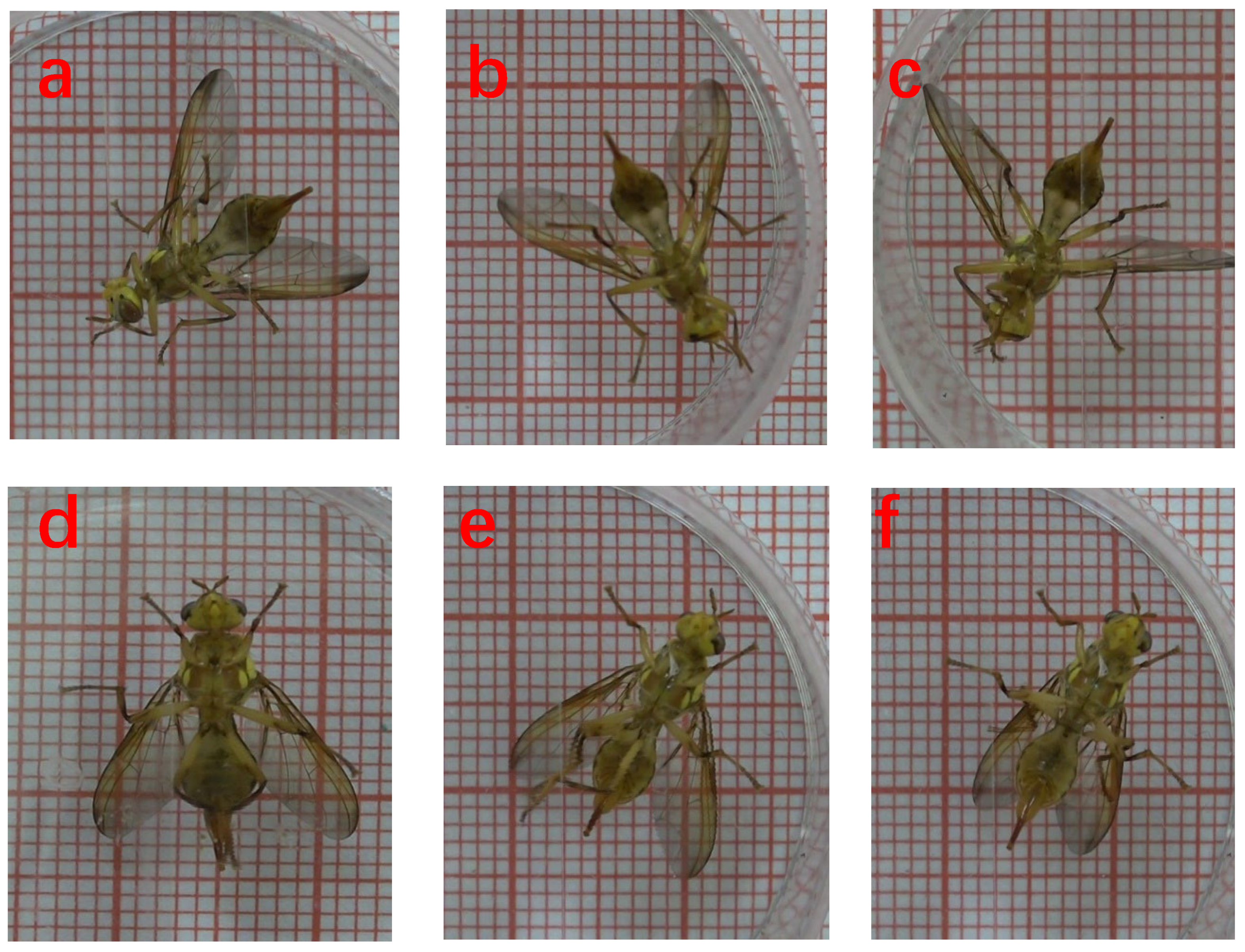 Sensors 23 06442 g006