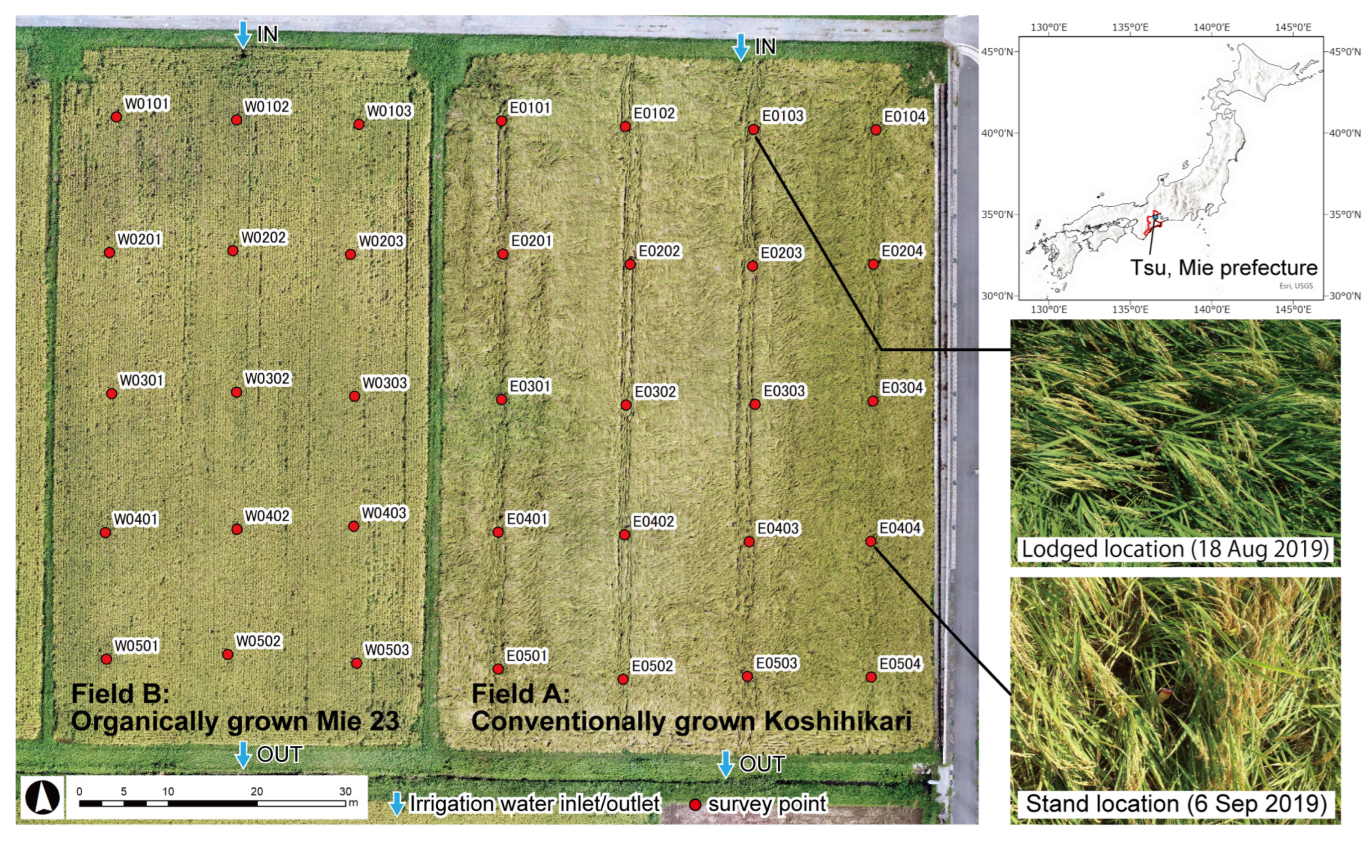 Sensors 23 06466 g001