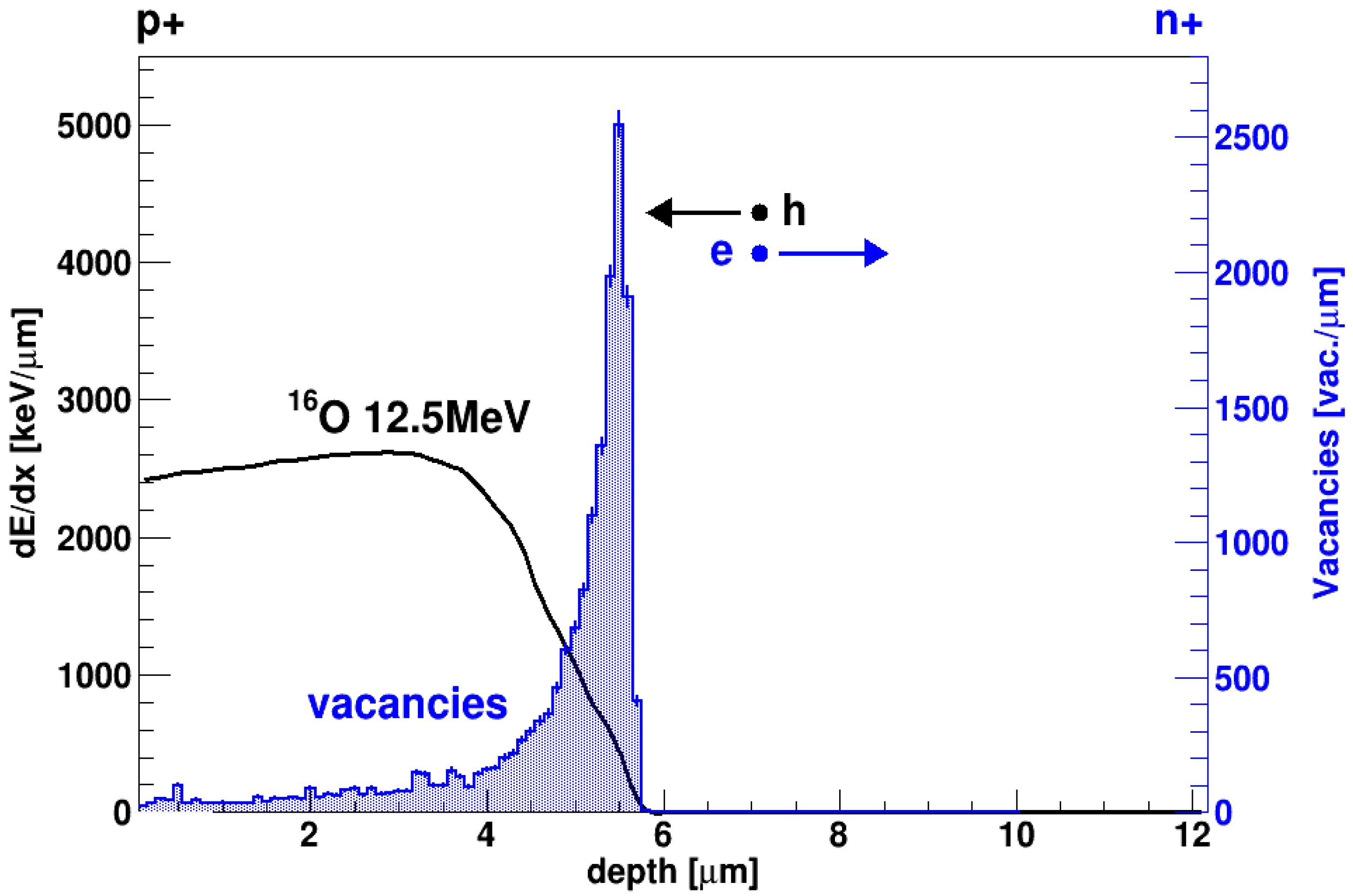 Sensors 23 06522 g003