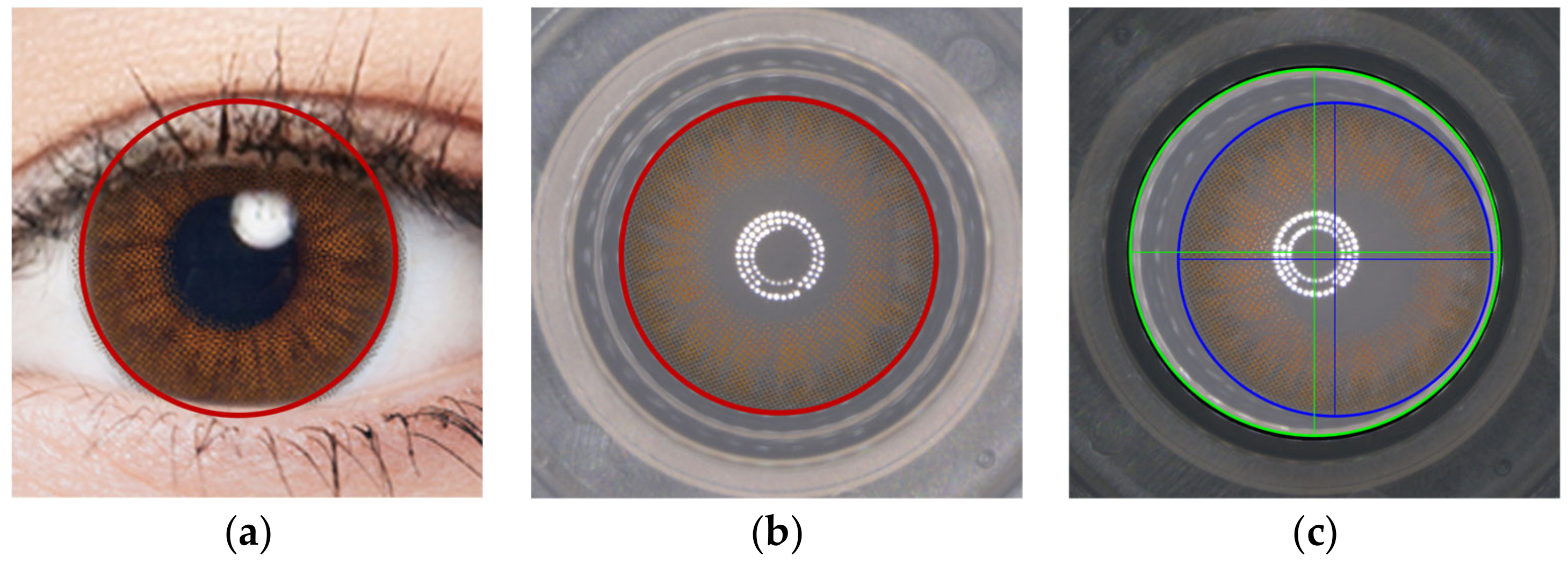 Sensors 23 06533 g001
