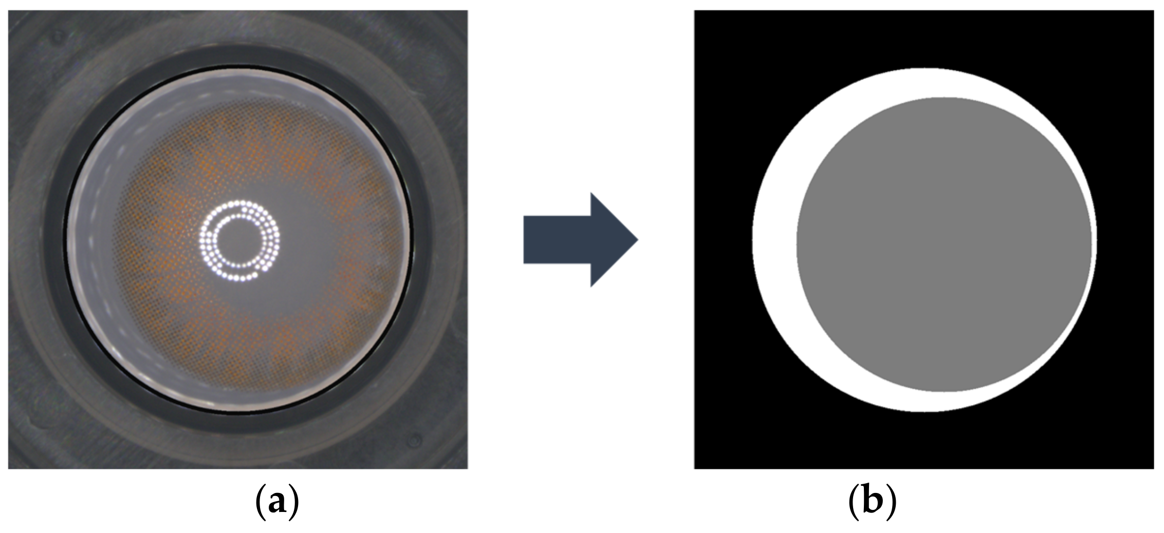 Sensors 23 06533 g006