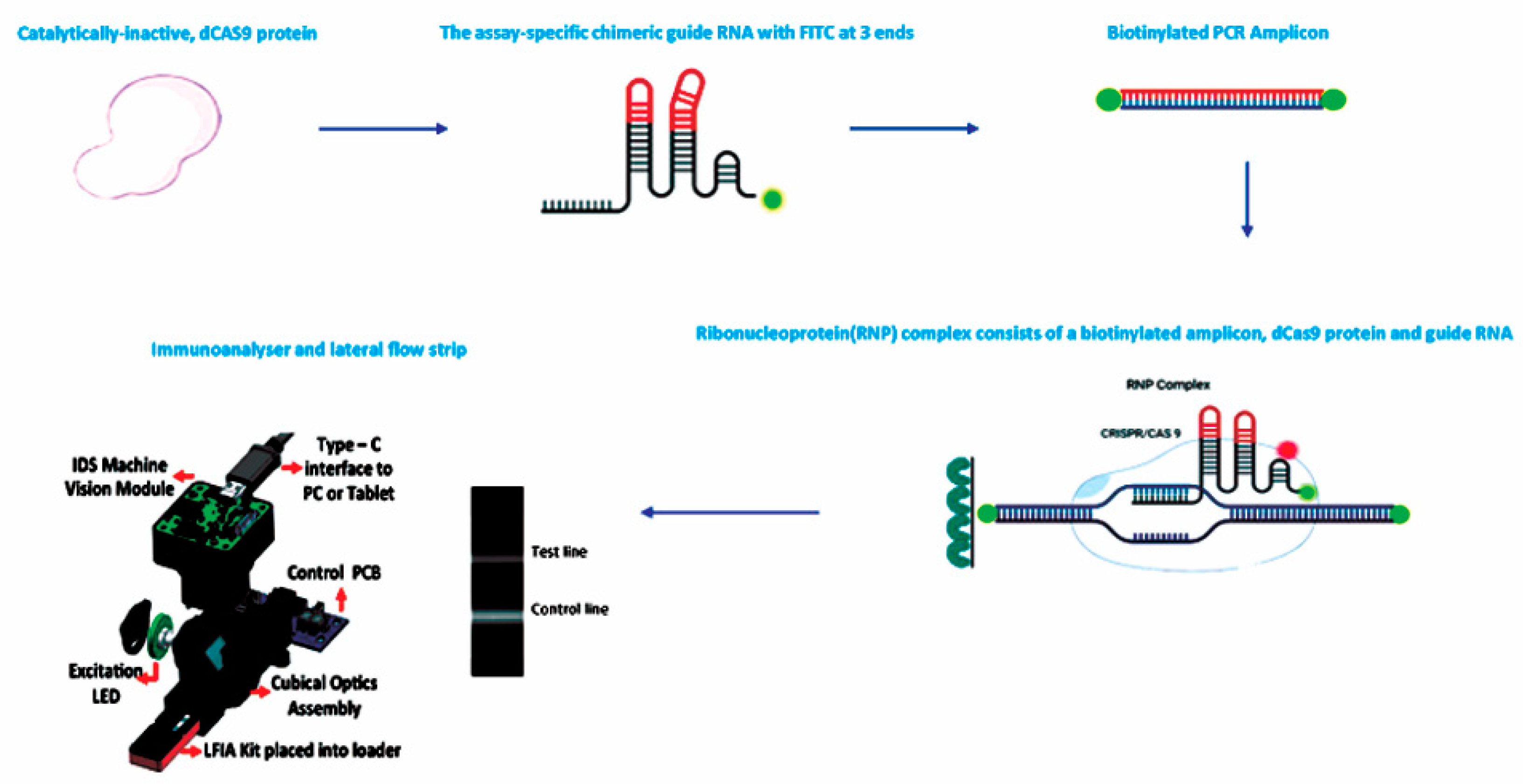 Sensors 23 06544 g001