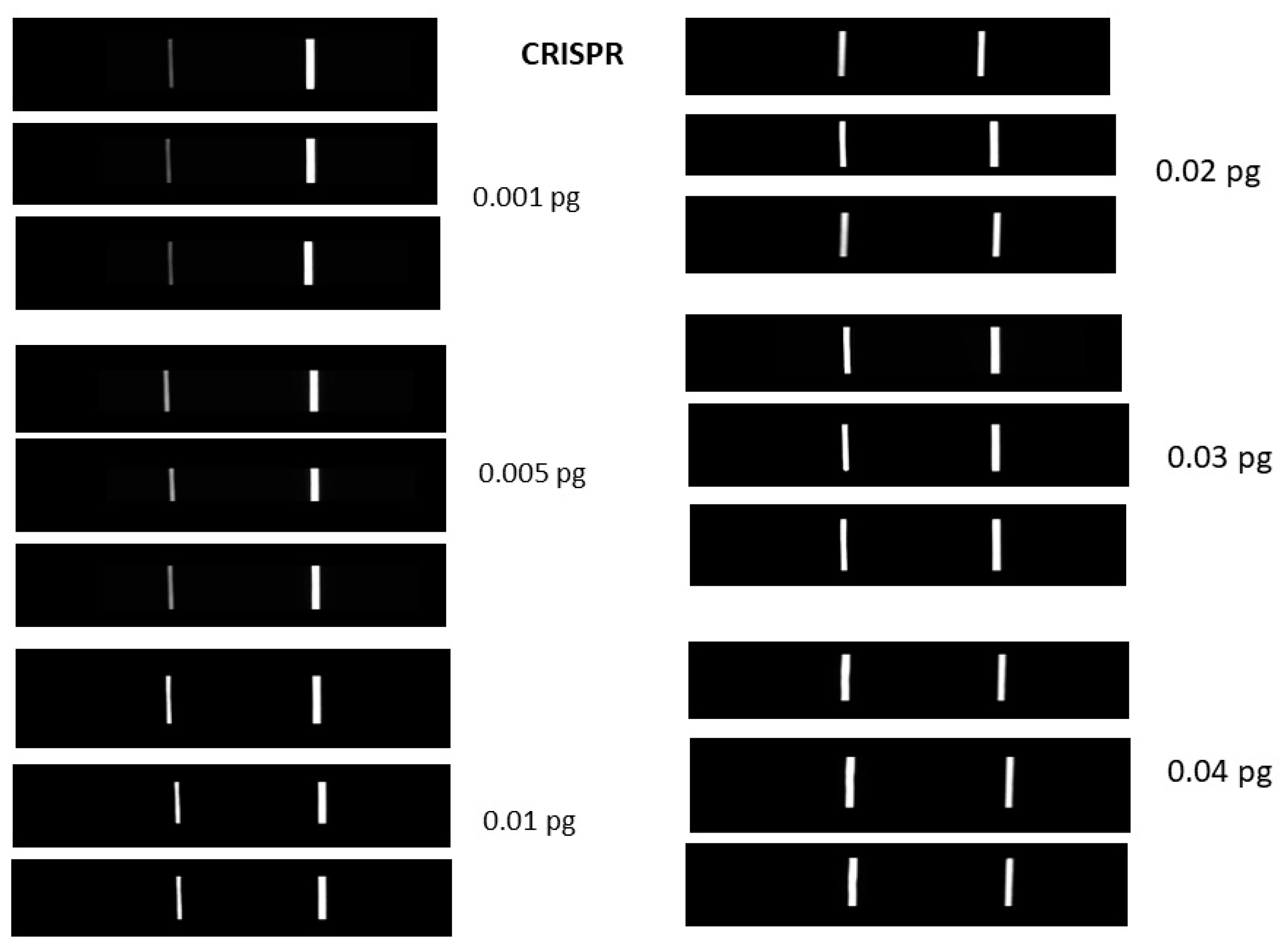 Sensors 23 06544 g003