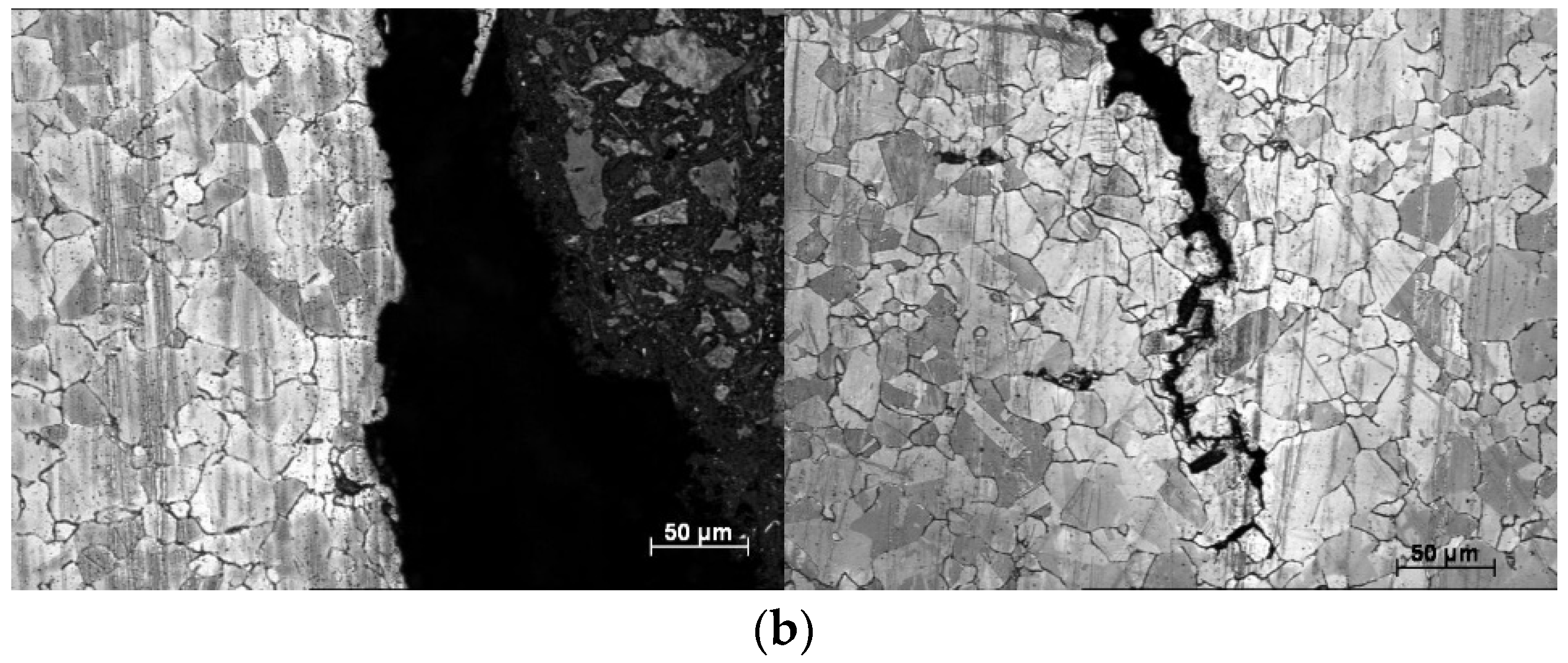 Sensors 23 06561 g007b