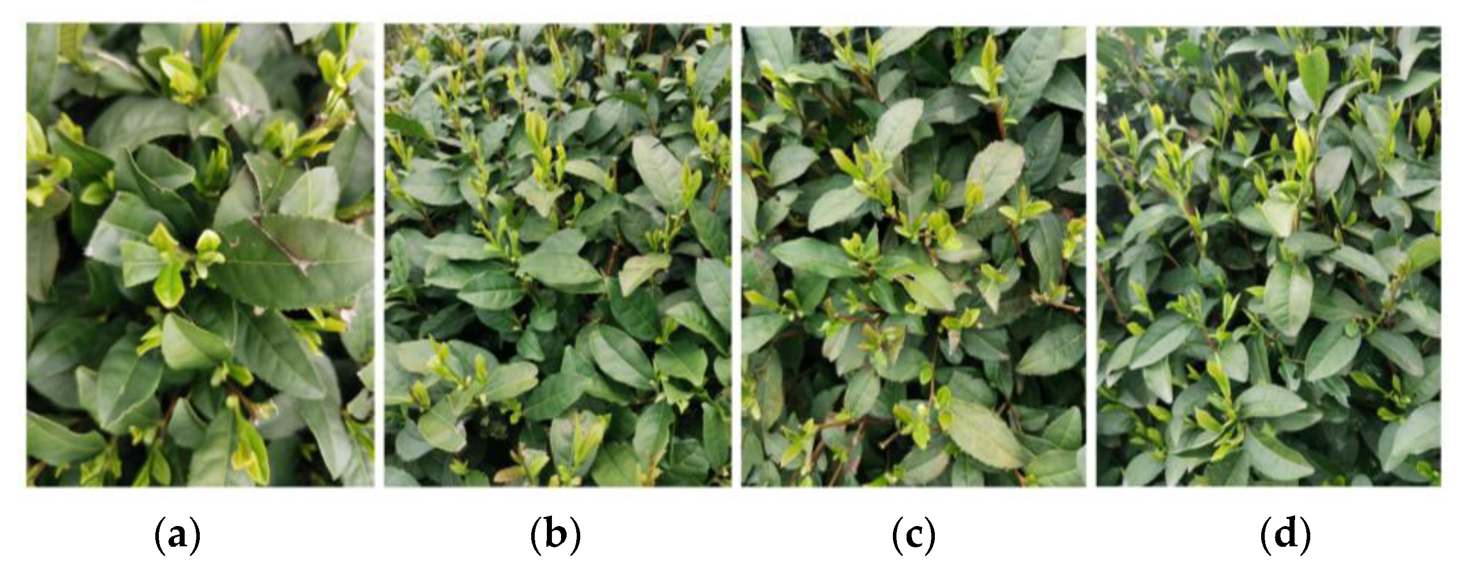 Sensors 23 06576 g008