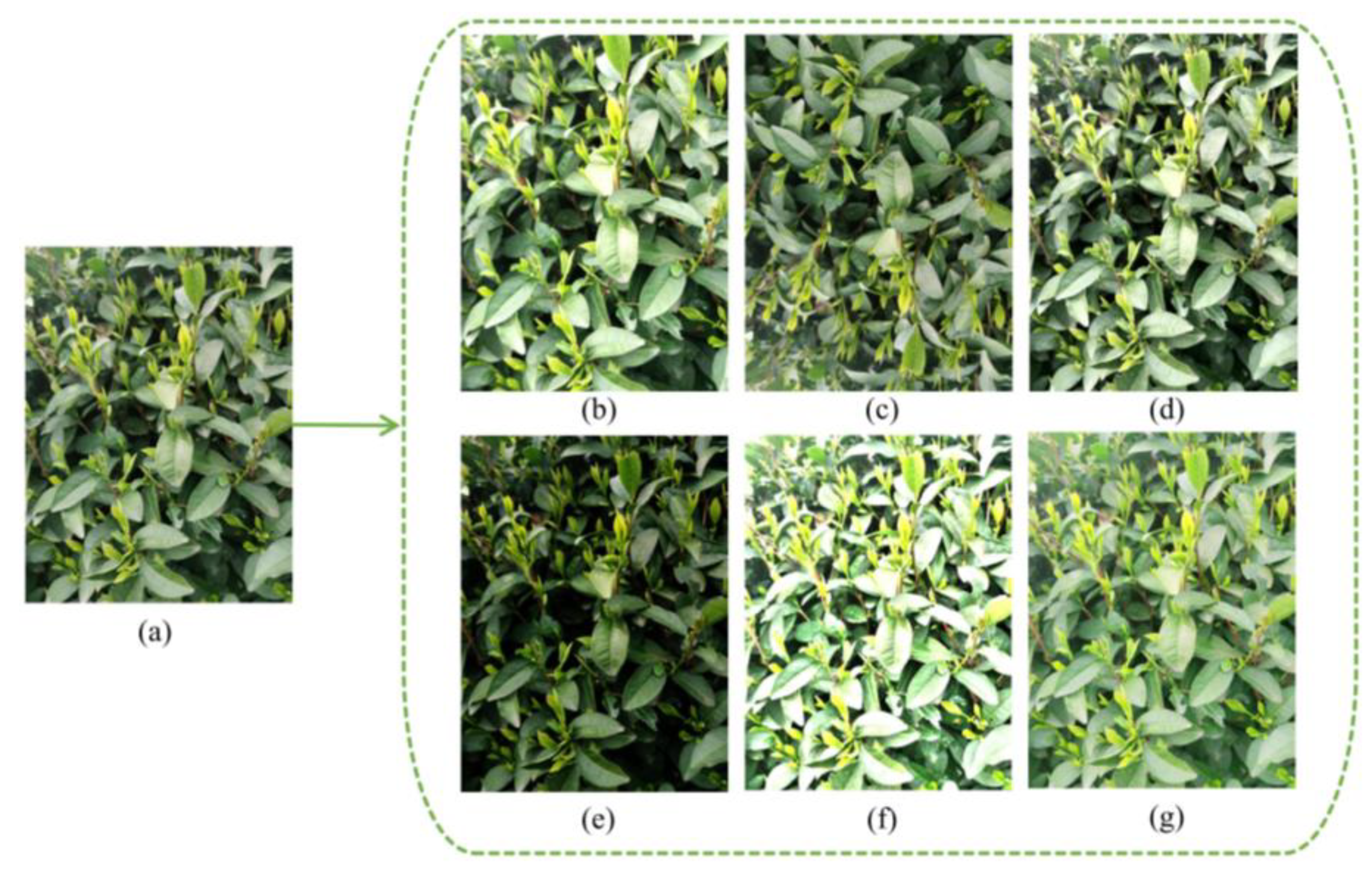 Sensors 23 06576 g009