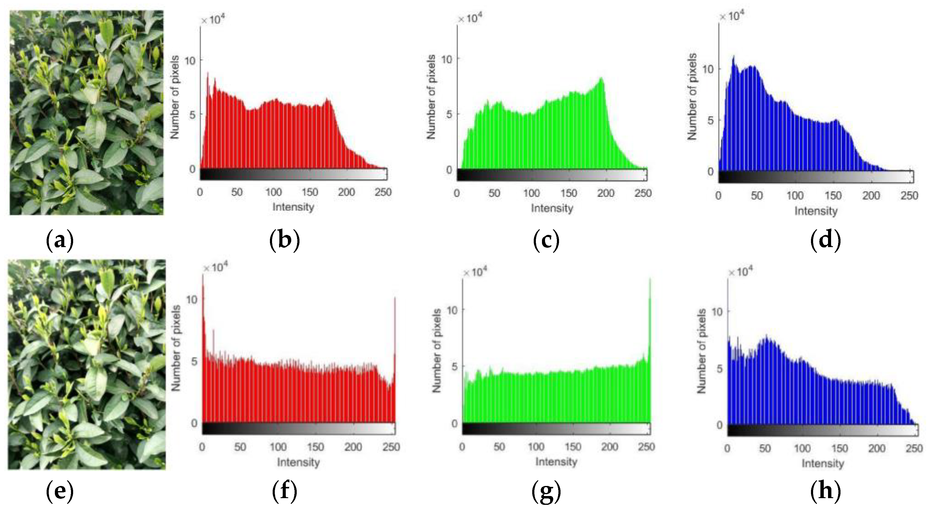 Sensors 23 06576 g013